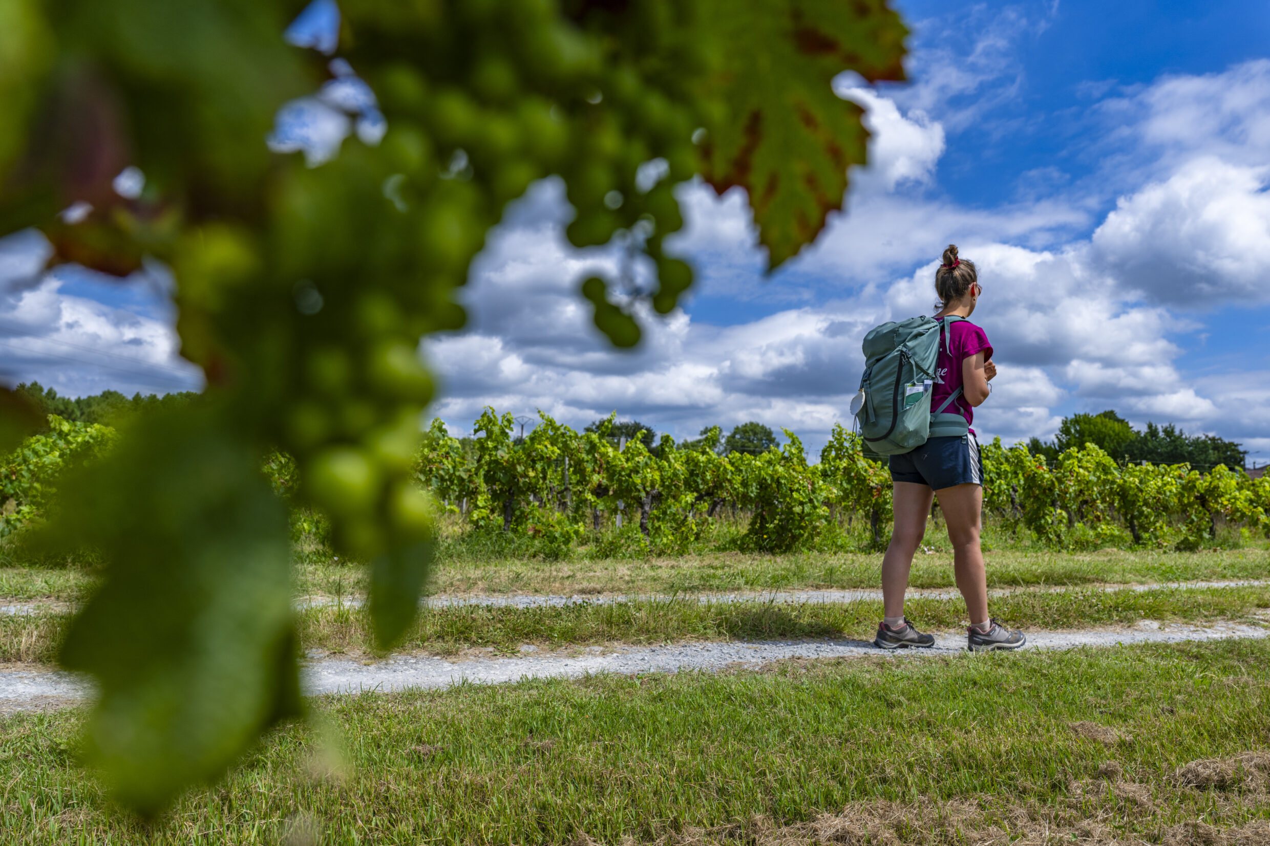 Marcheuse dans les vignes de Cartelègue ©AFCC JJGelbart