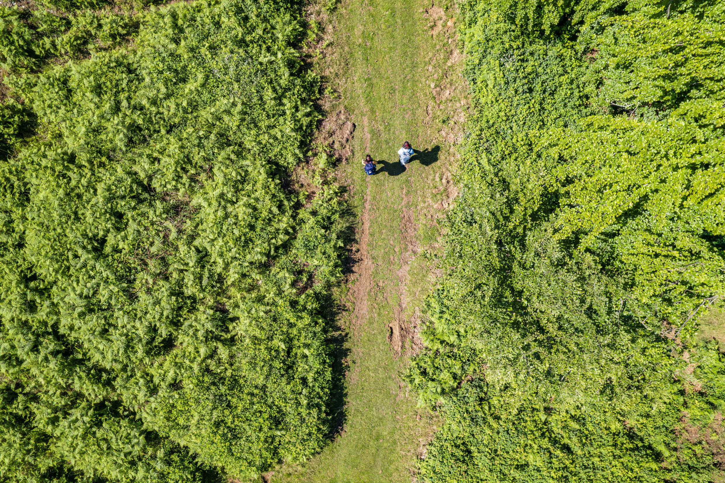 Sur la voie du Piémont ©AFCC JJGelbart