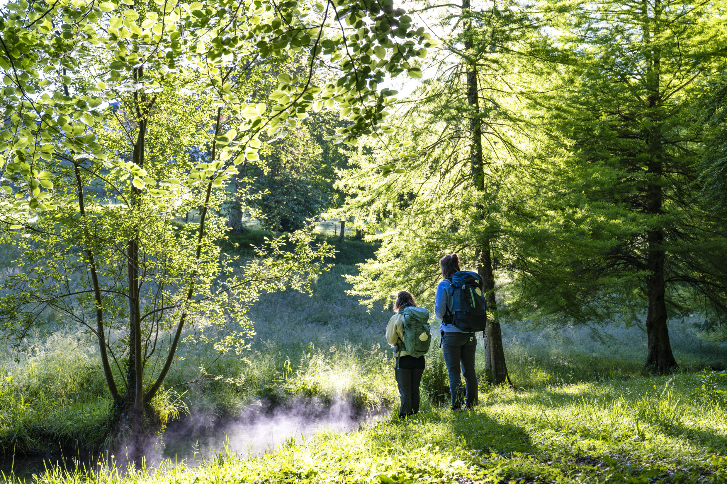 Au vallon du salut ©AFCC JJGelbart