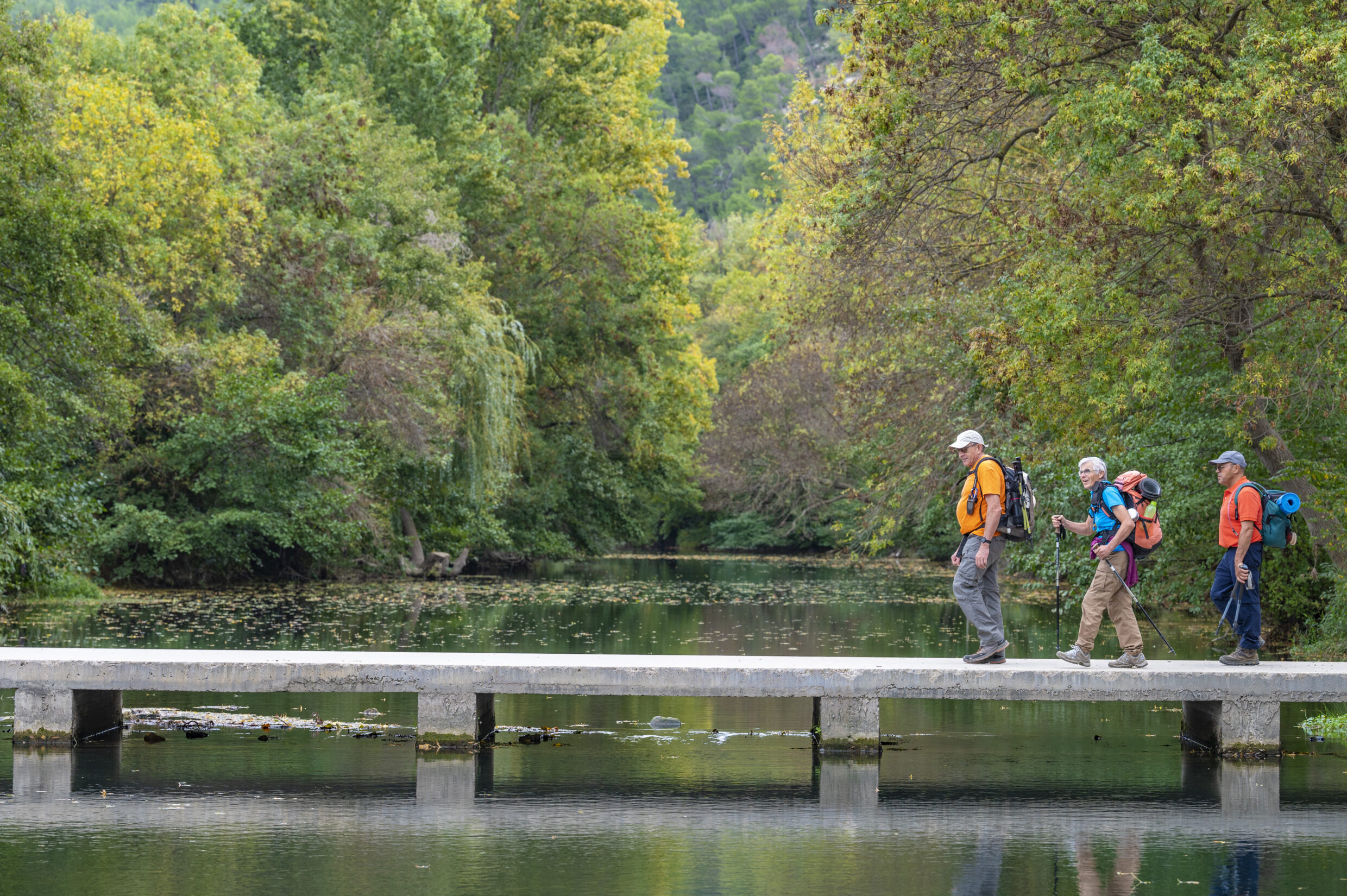 Sur le chemin entre Capestang et Carcassonne ©AFCC JJGelbart