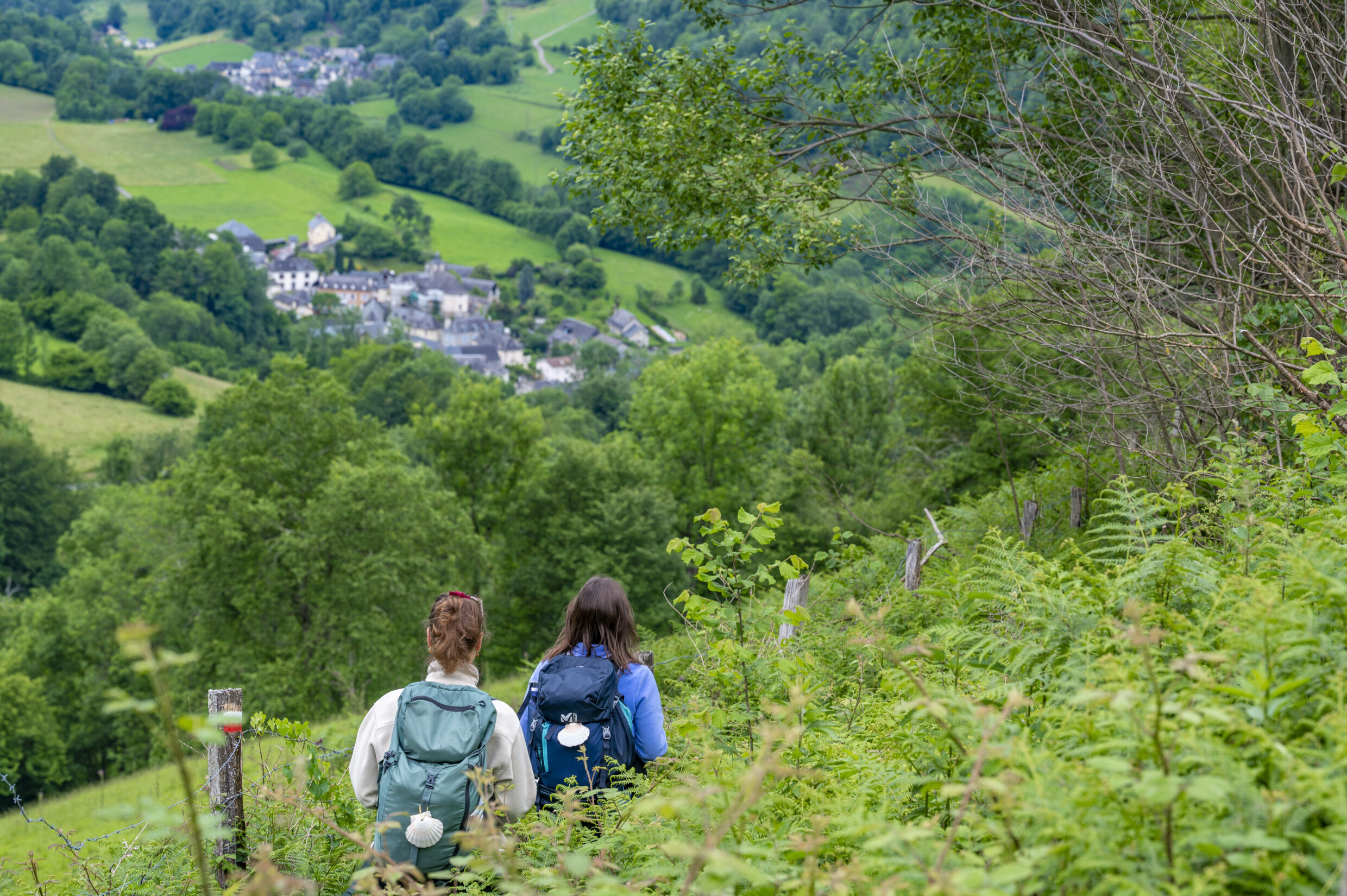 Chemin vers Ourdis-Cotdoussan @JJGelbart