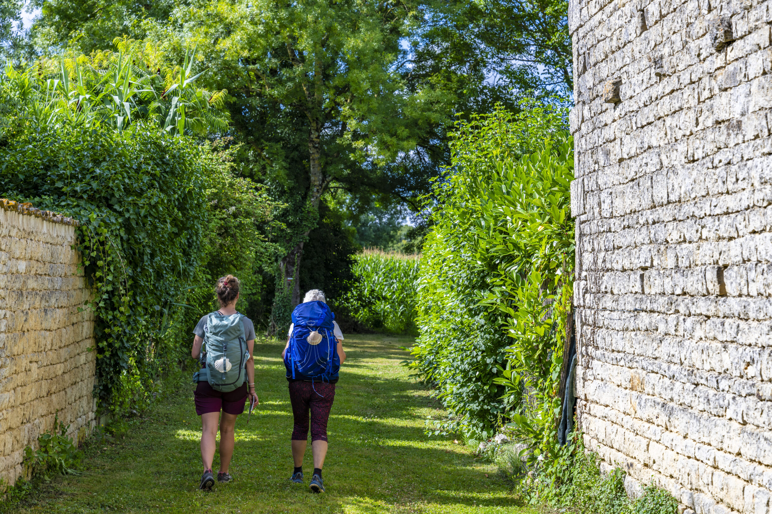 Marcheuses au Ponthioux ©AFCC JJGelbart