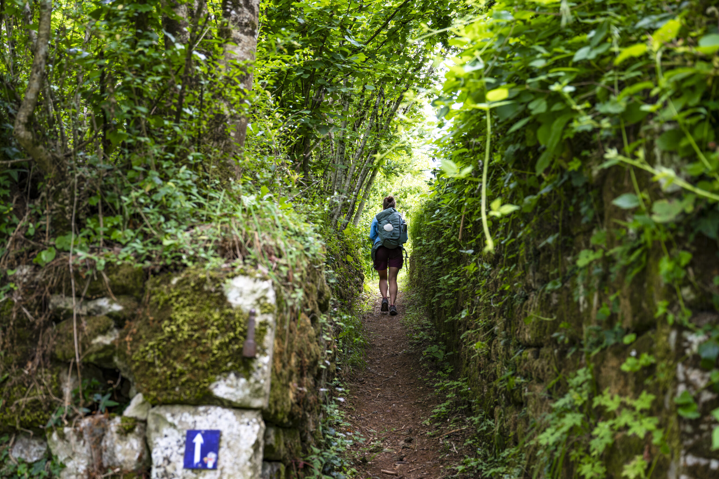 Chemin vers le château - Lusignan ©AFCC JJGelbart
