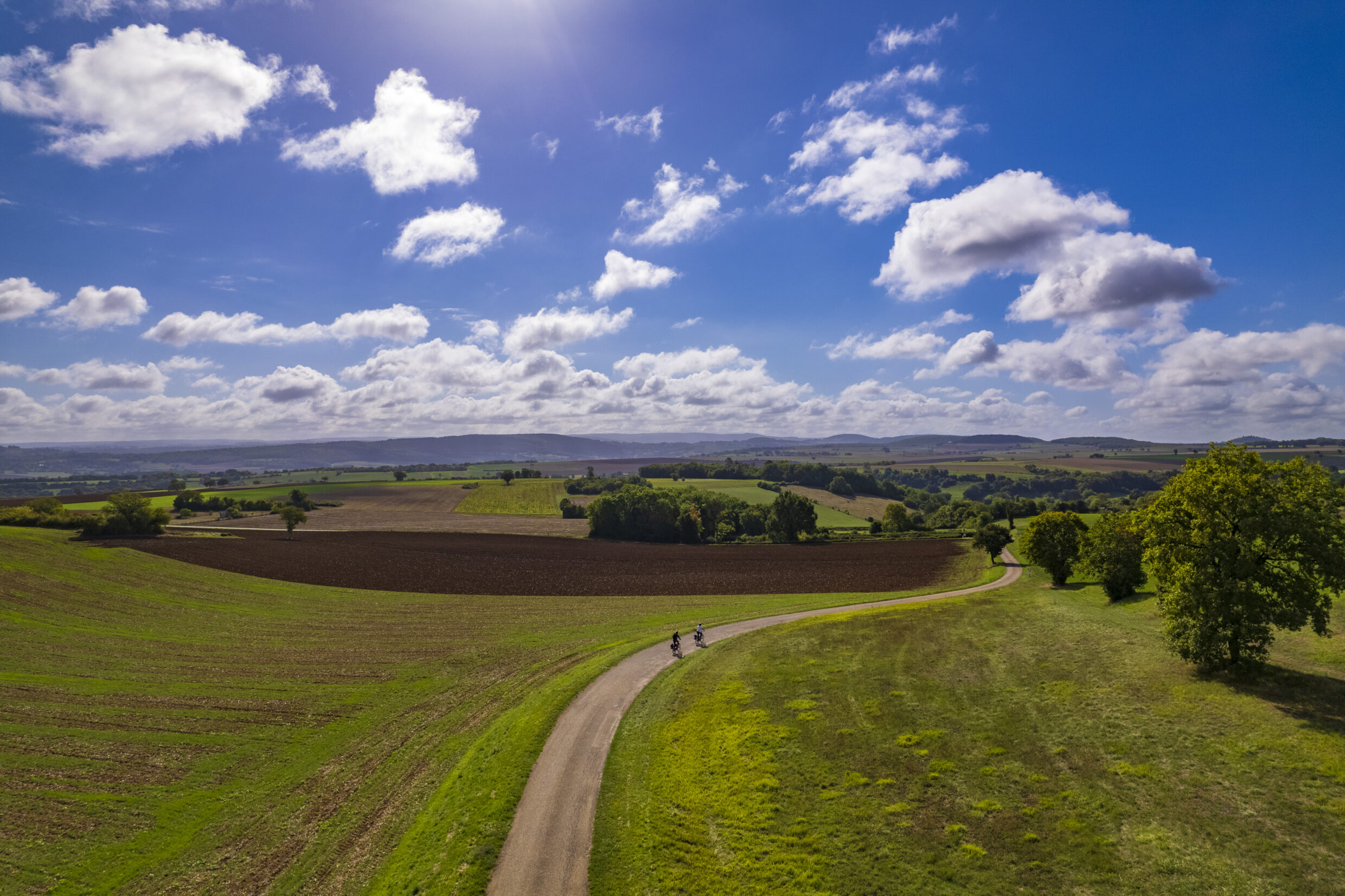 Champs Fontenay près de Vézelay ©AFCC JJGelbart