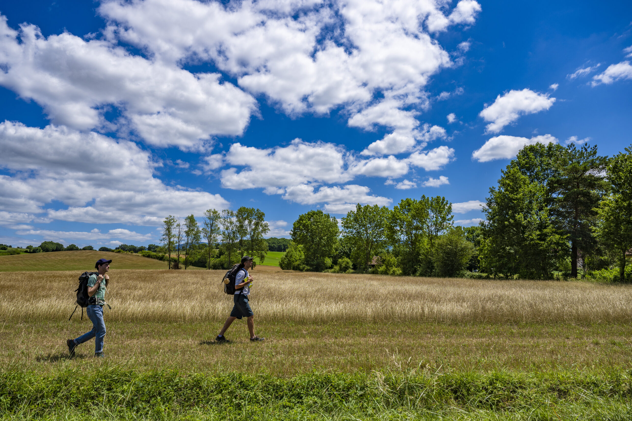 Alentours de Sorèze ©JJGelbart