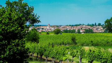 Vignoble à Mézin ©OT Albret