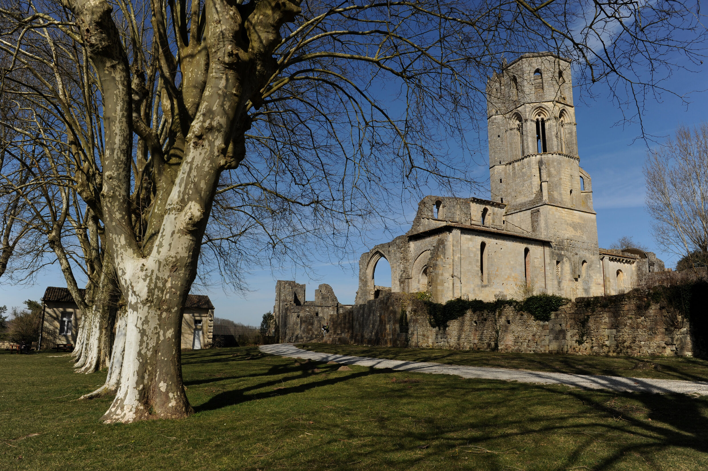 abbaye de la sauve majeur (c)AFCC JJ GELBART