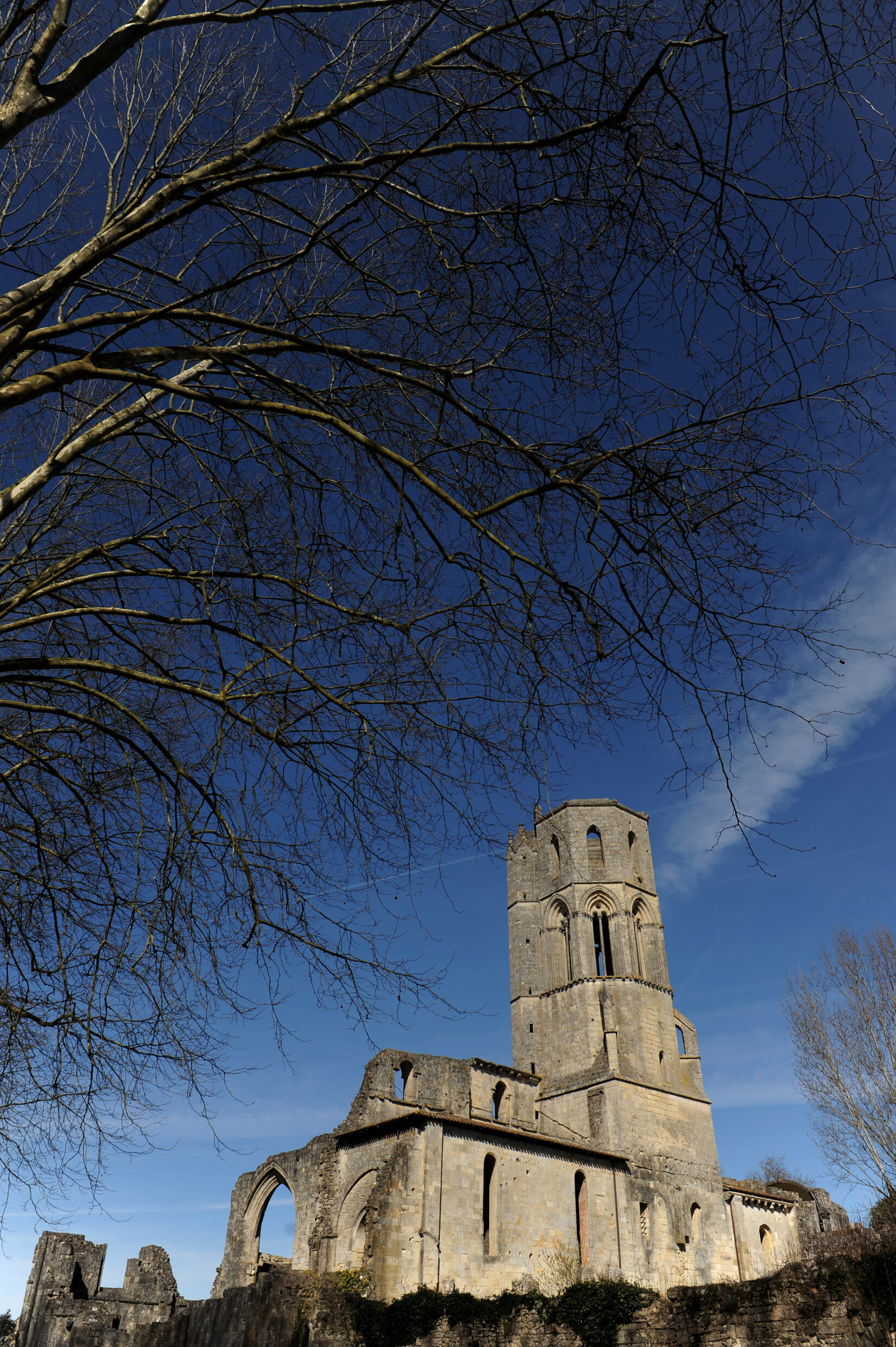 abbaye de la sauve majeur (c)AFCC JJ GELBART