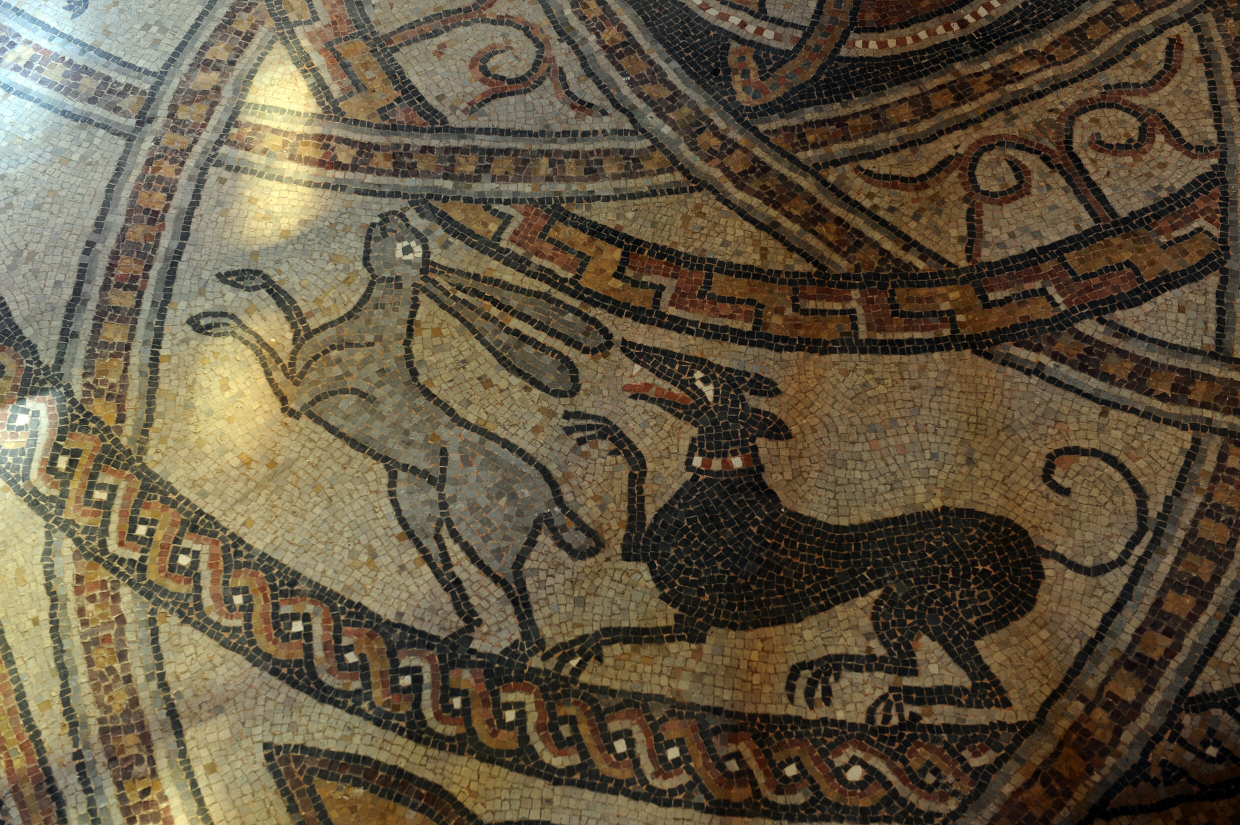 abbaye de Sorde@ACIR Compostelle JJ Gelbart