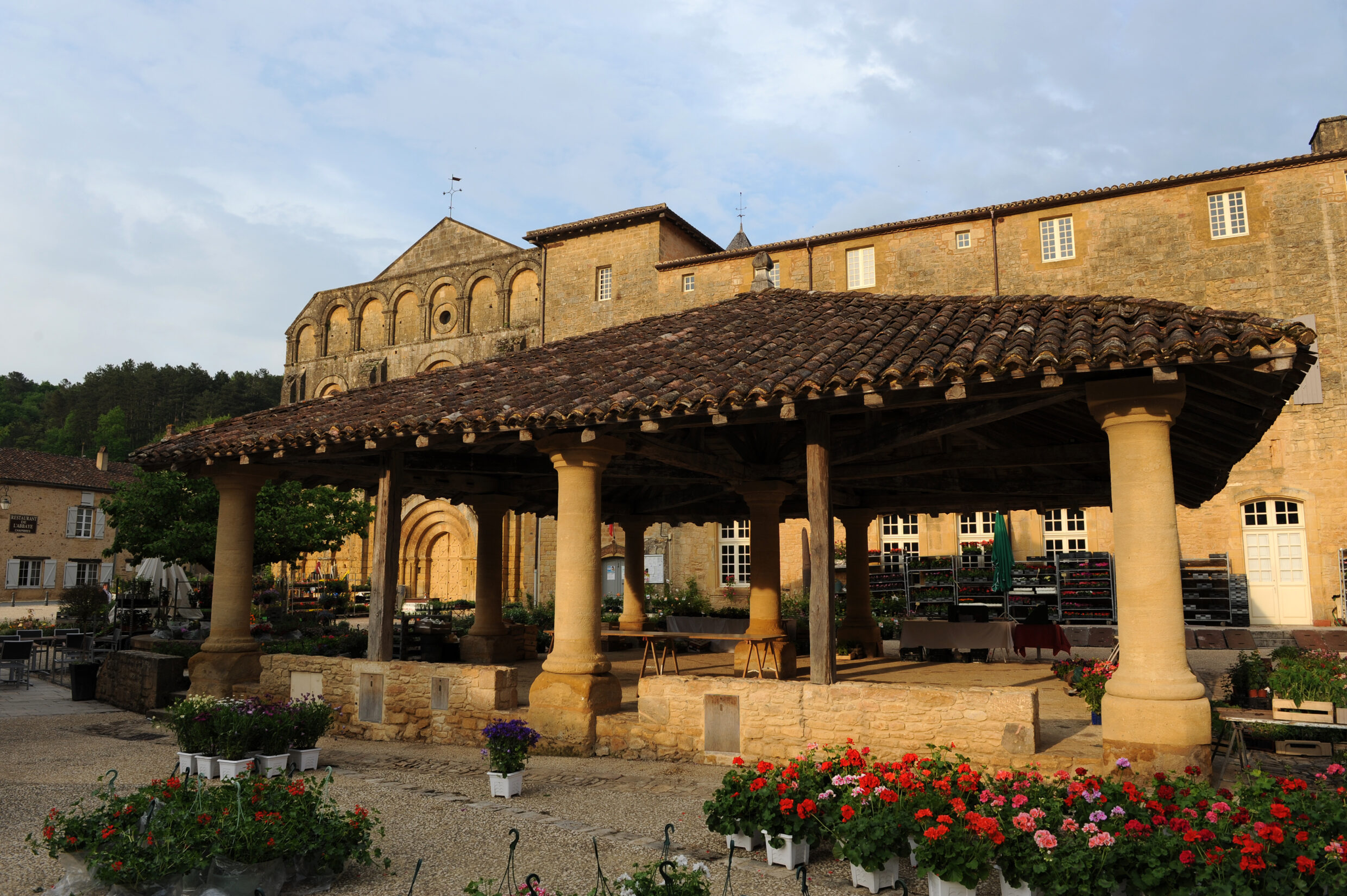 Buisson de Cadouin@AFCC JJ Gelbart