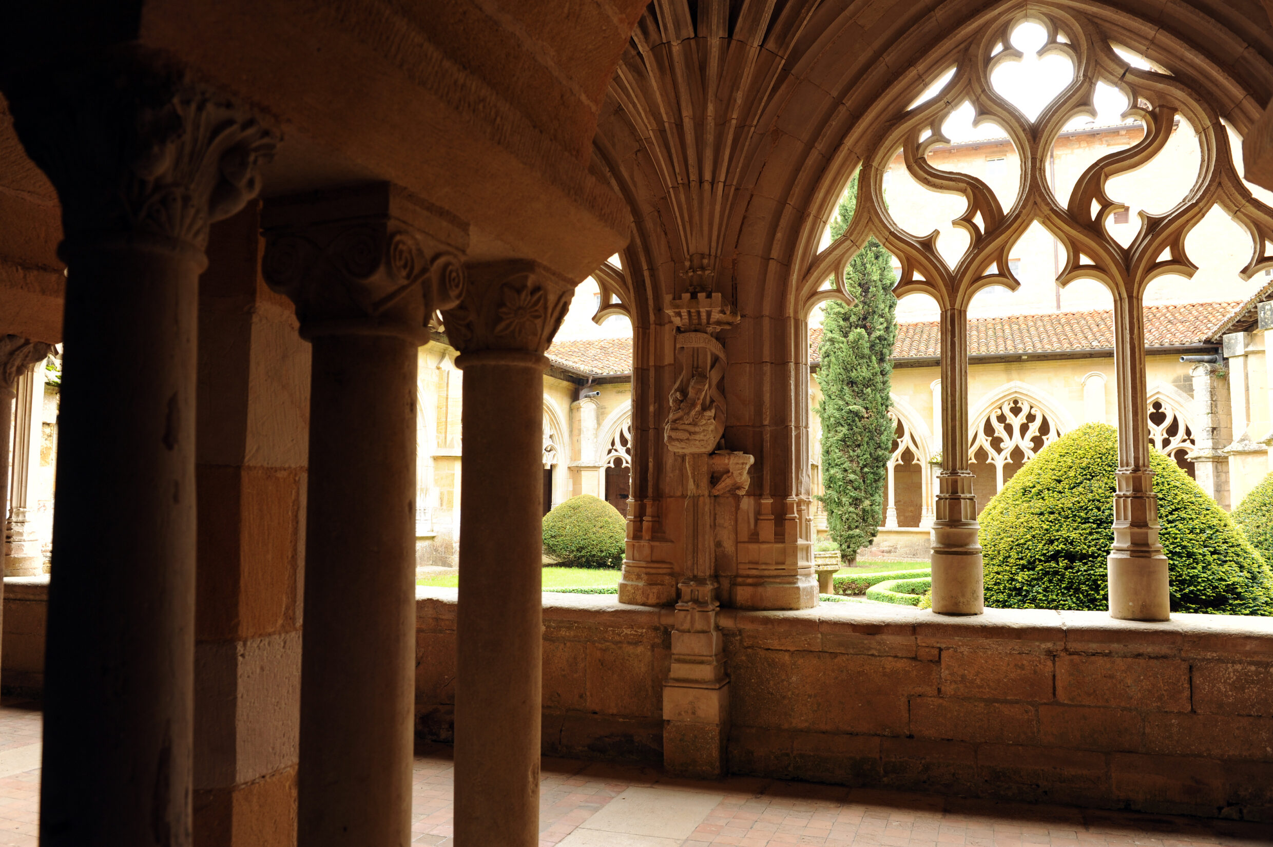 Buisson de Cadouin@AFCC JJ Gelbart