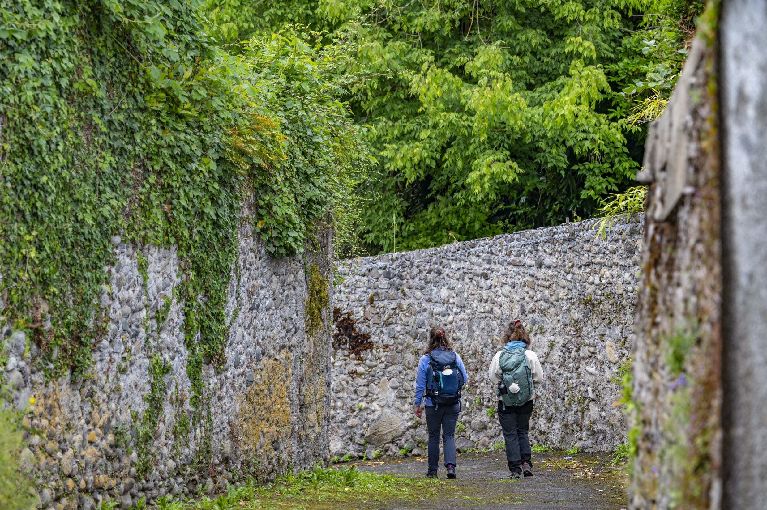 Saint-Pé-de-Bigorre ©JJGelbart