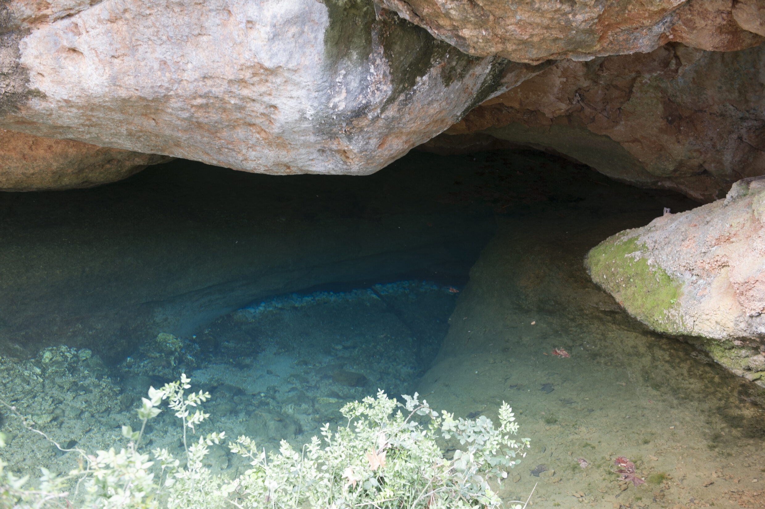 Grabels - Source de l'Avy © OT