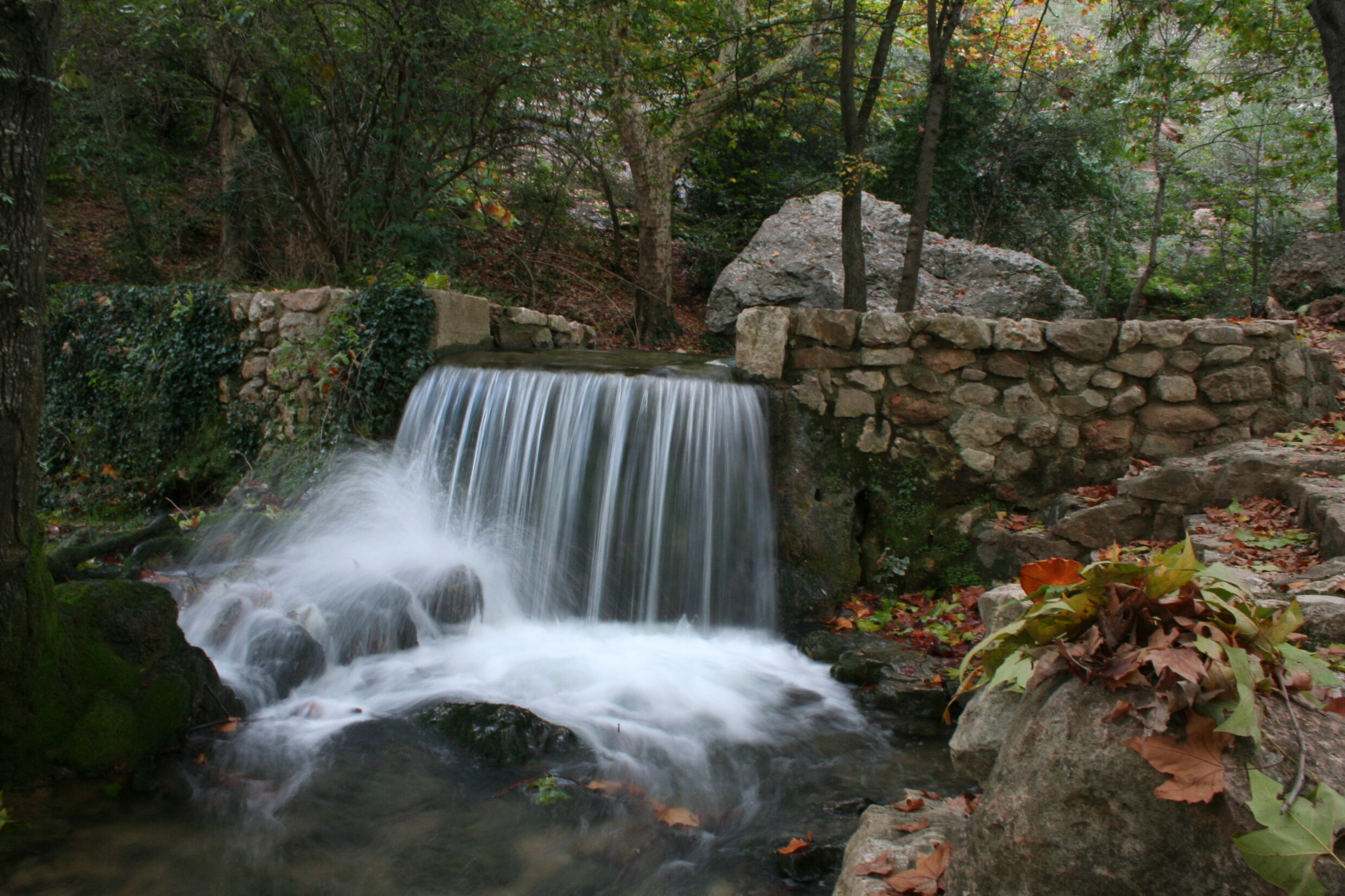 Grabels - Source de l'Avy © OT