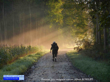 Photographie de pèlerin - Premier prix catégorie Nature ©Albert Echiley