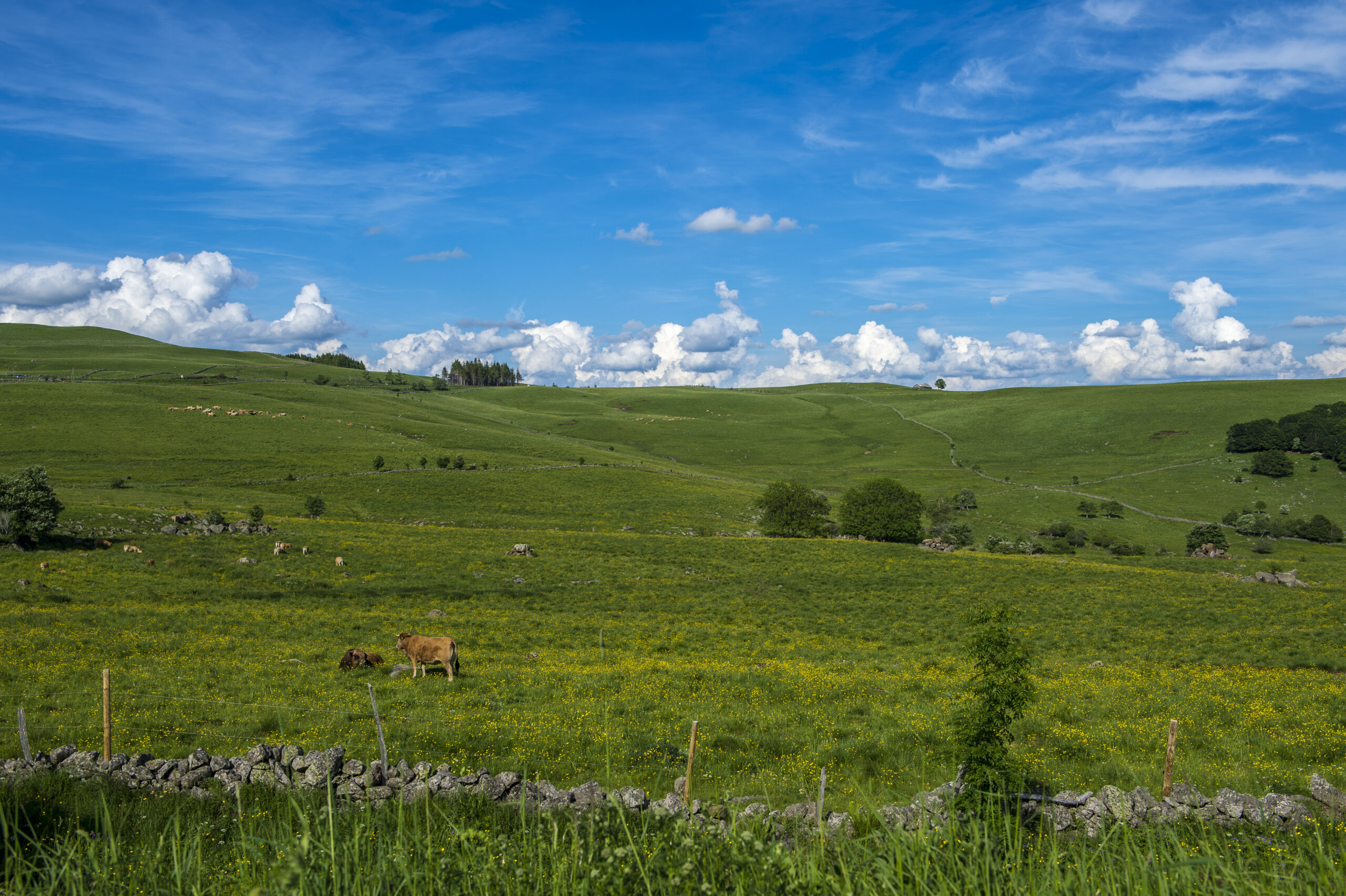 Nasbinals Saint-Chély d'Aubrac ©JJGelbart