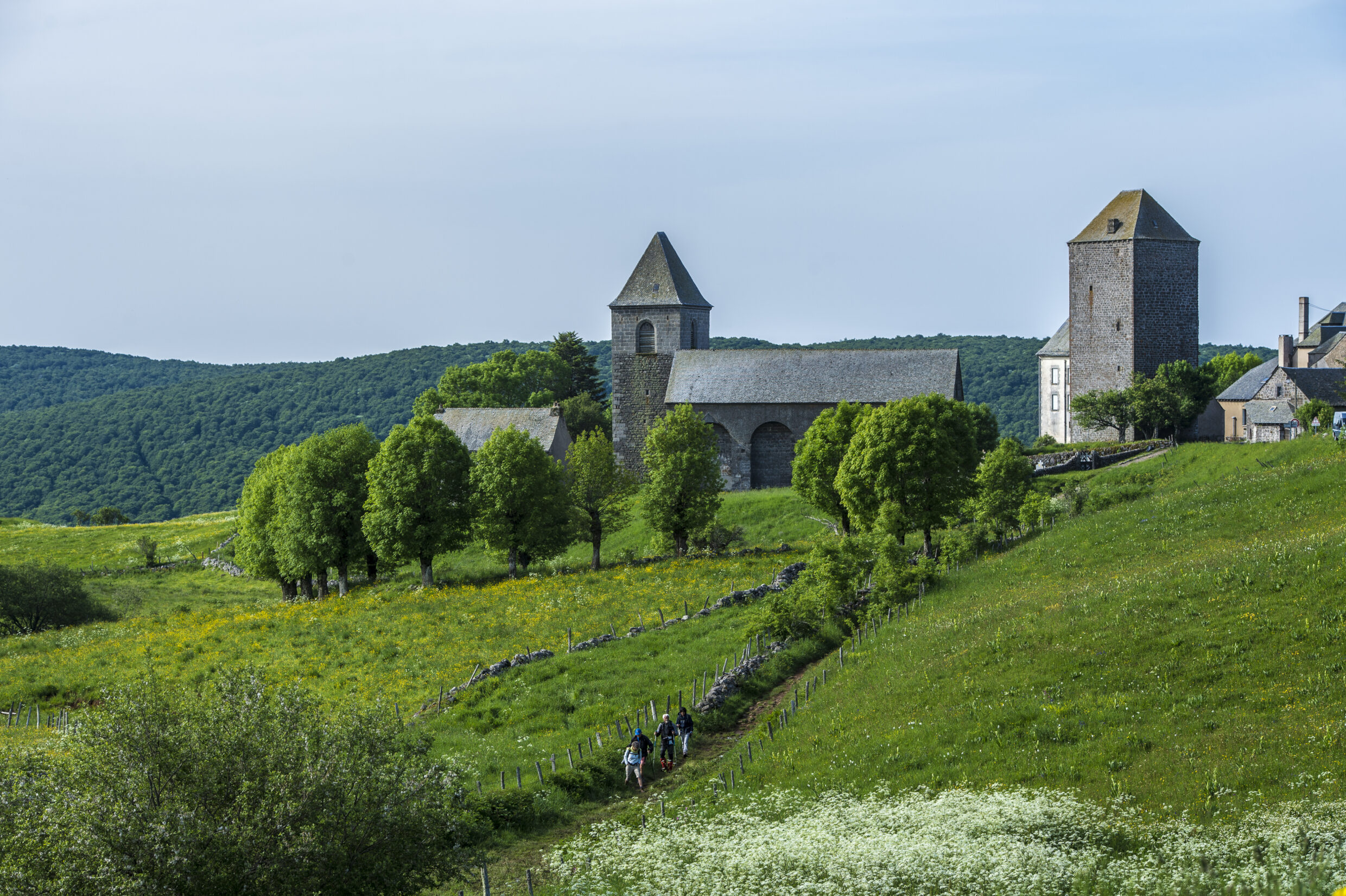 Section de sentier Saint-Chély Nasbinals ©JJGelbart