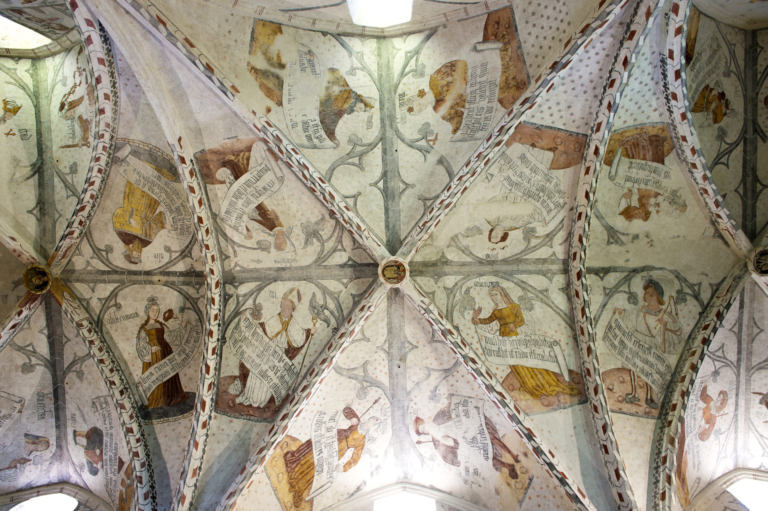 Voutes peintes Eglise Notre dame de la Sede