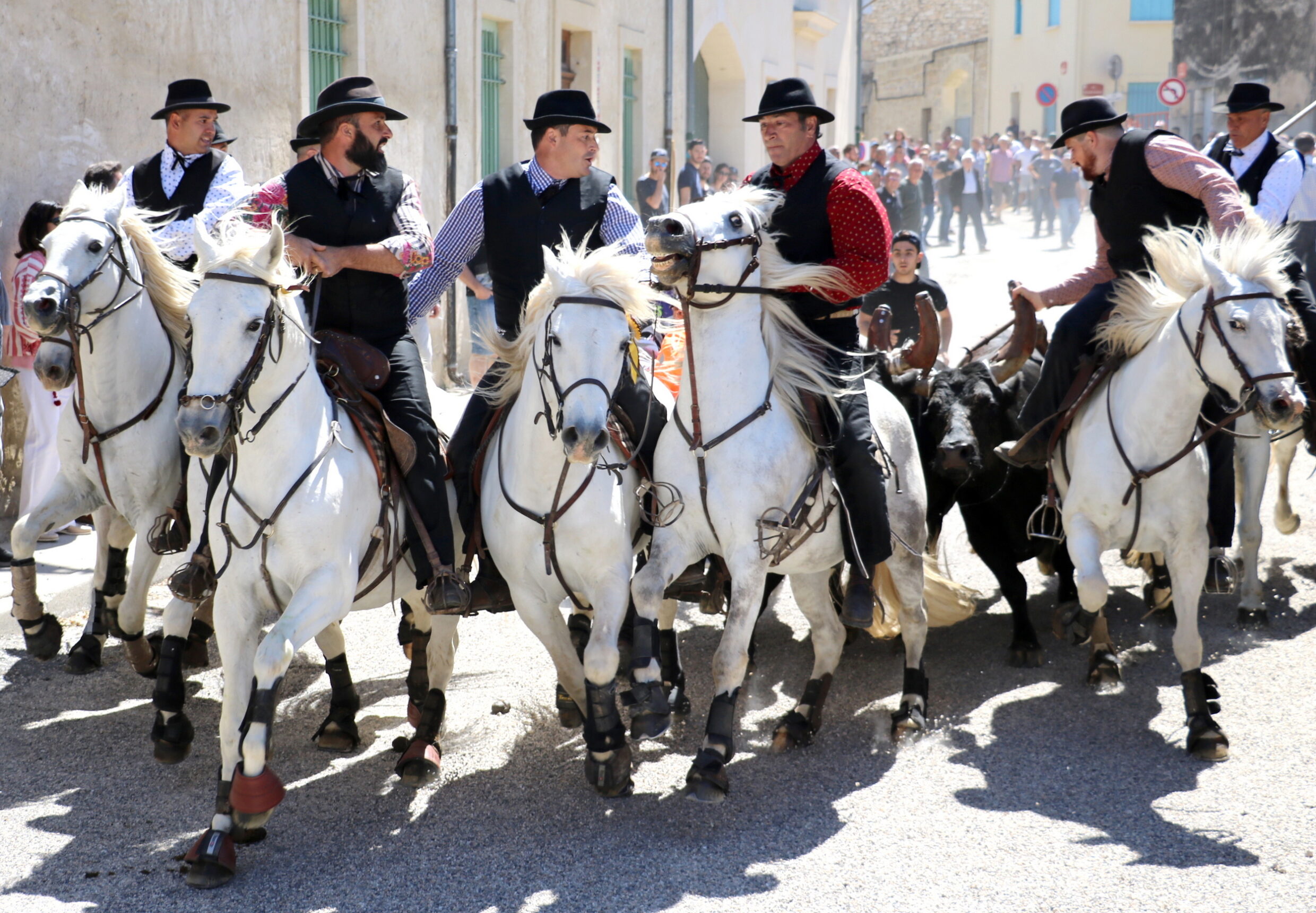 Vauvert ©mairiedevauvert