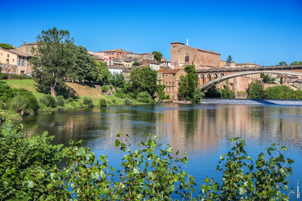 Abbatiale- Vue du Tarn - Gaillac ©C.Raynaud