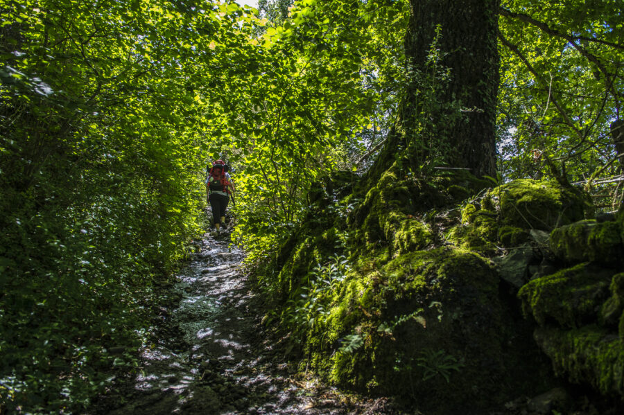 Sentier entre Saint-Côme-d'Olt et Estaing ©AFCC JJGelbart