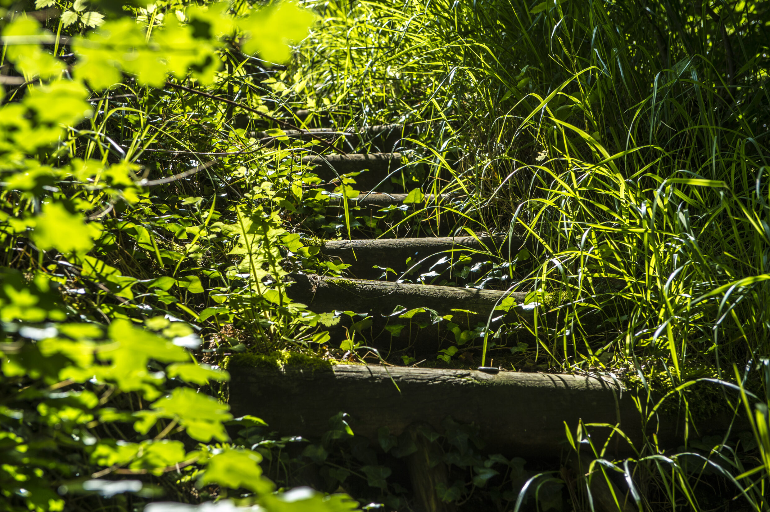 Sentier entre Saint-Côme-d'Olt et Estaing ©AFCC JJGelbart