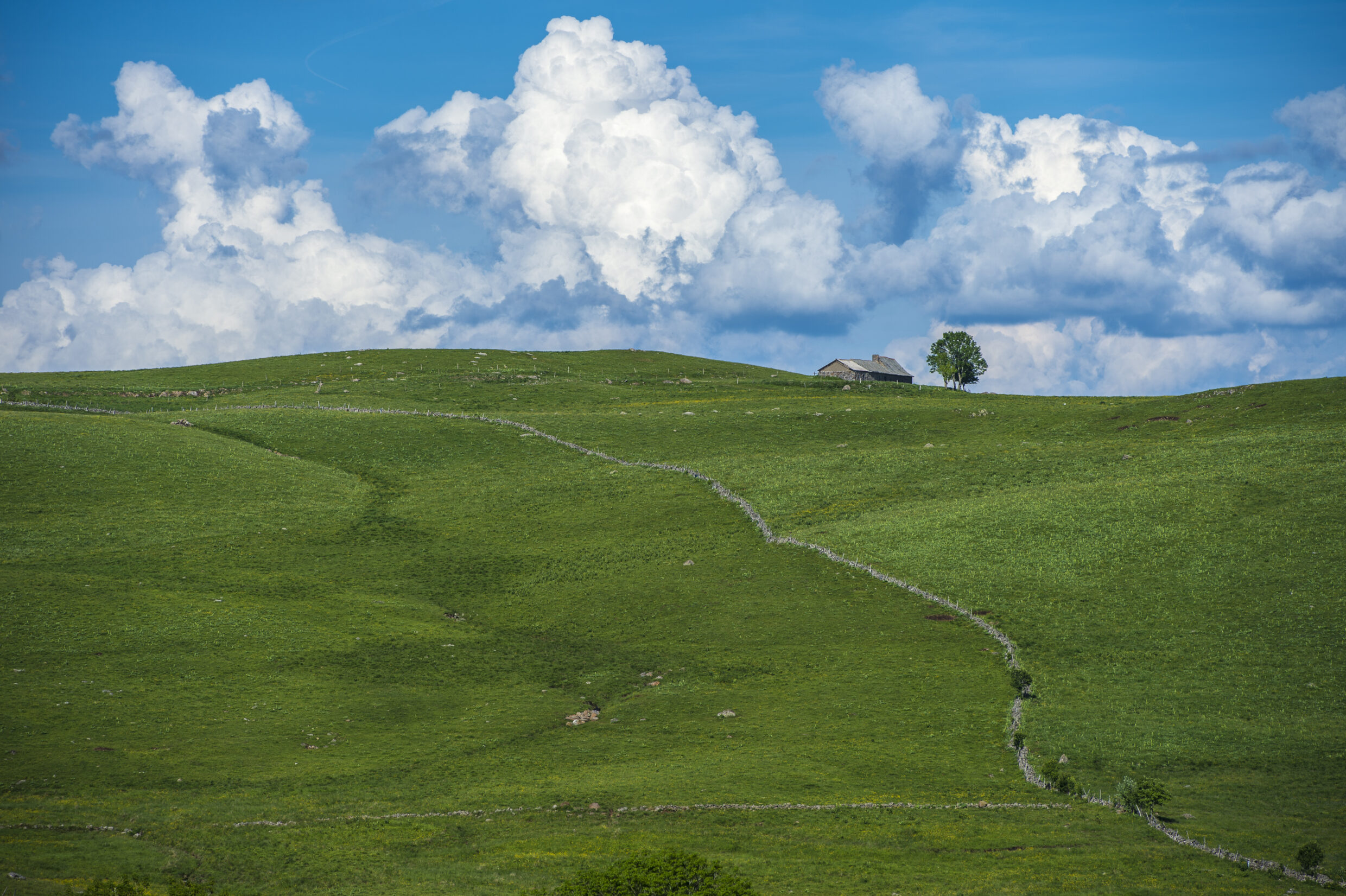 Entre Nasbinals et Saint-Chély d'Aubrac©AFCC JJGelbart