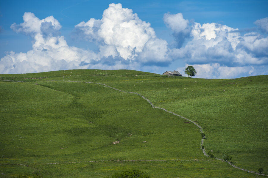 Entre Nasbinals et Saint-Chély d'Aubrac©AFCC JJGelbart