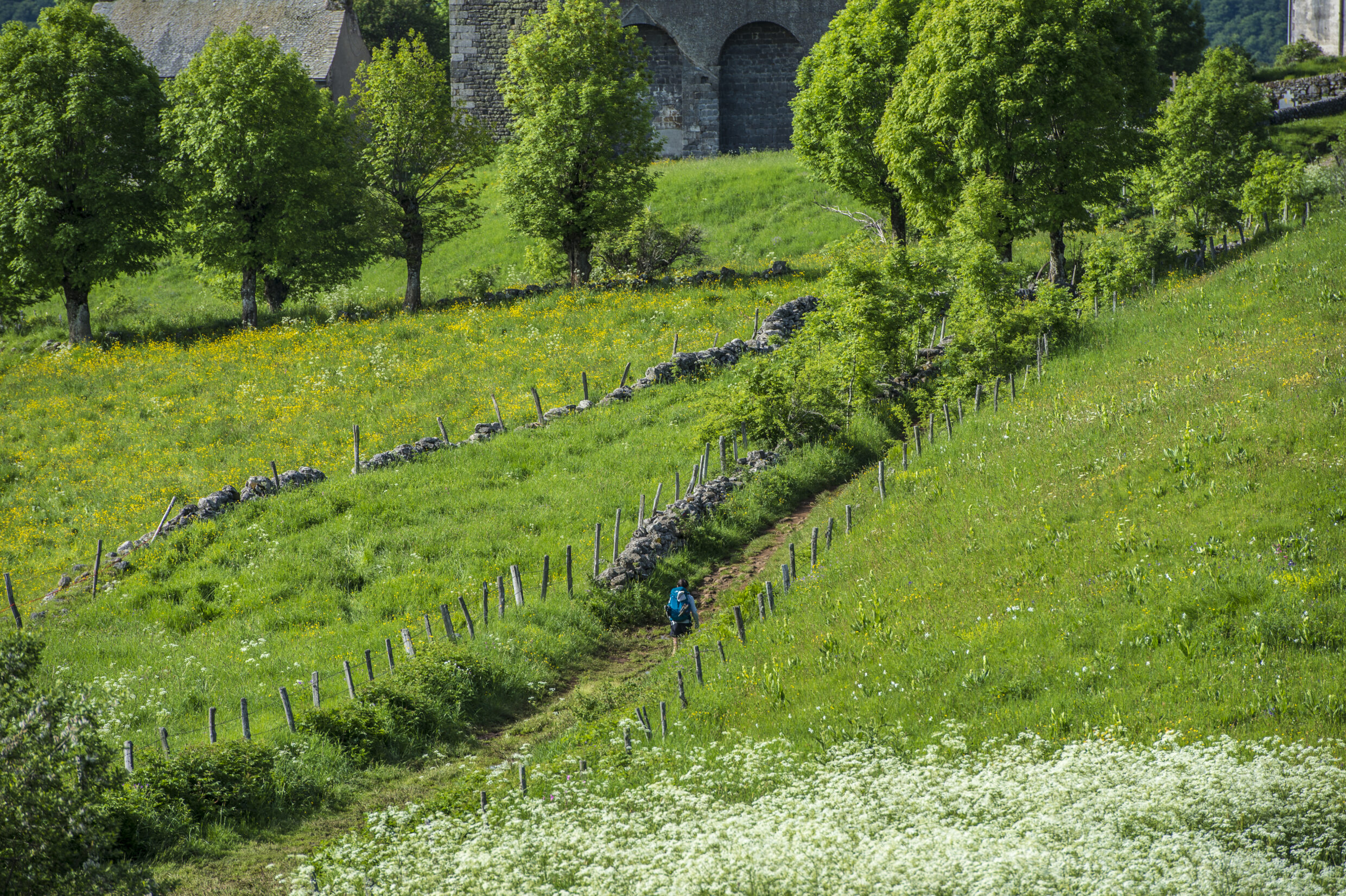 Entre Nasbinals et Saint-Chély d'Aubrac©AFCC JJGelbartEntre Nasbinals et Saint-Chély d'Aubrac©AFCC JJGelbart