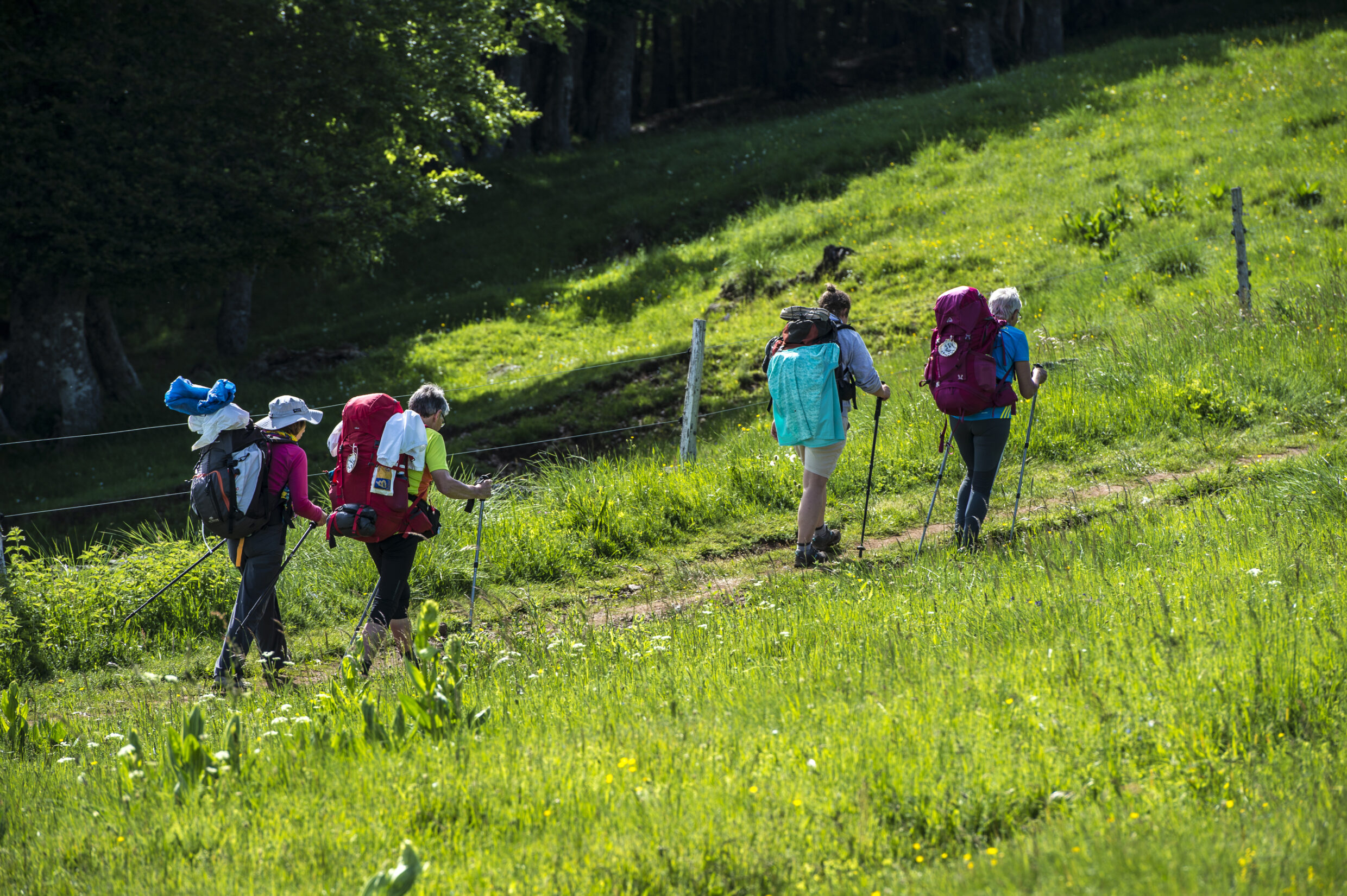 Entre Nasbinals et Saint-Chély d'Aubrac©AFCC JJGelbart