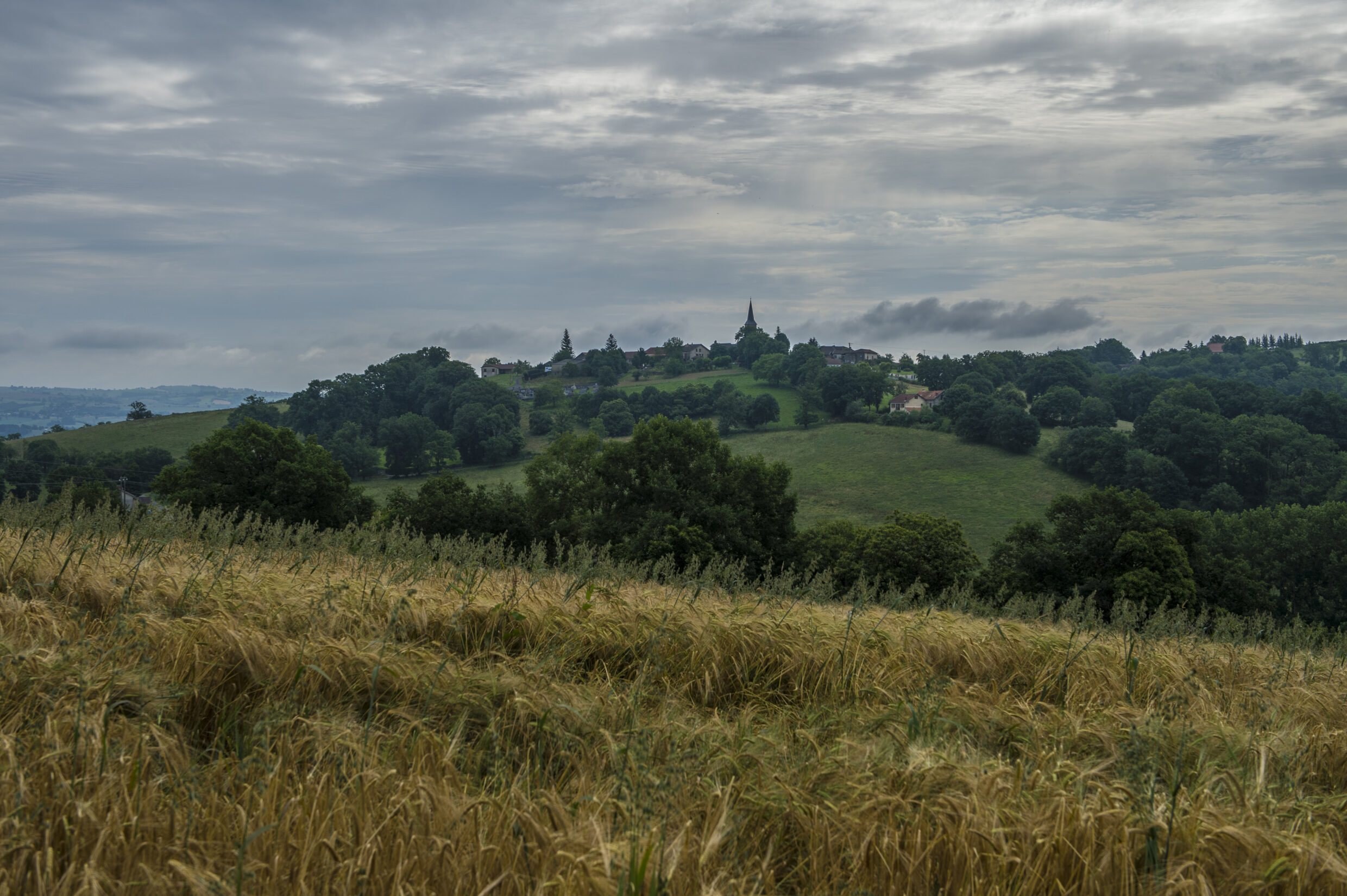 Sentier Montredon-Figeac ©JJGelbart