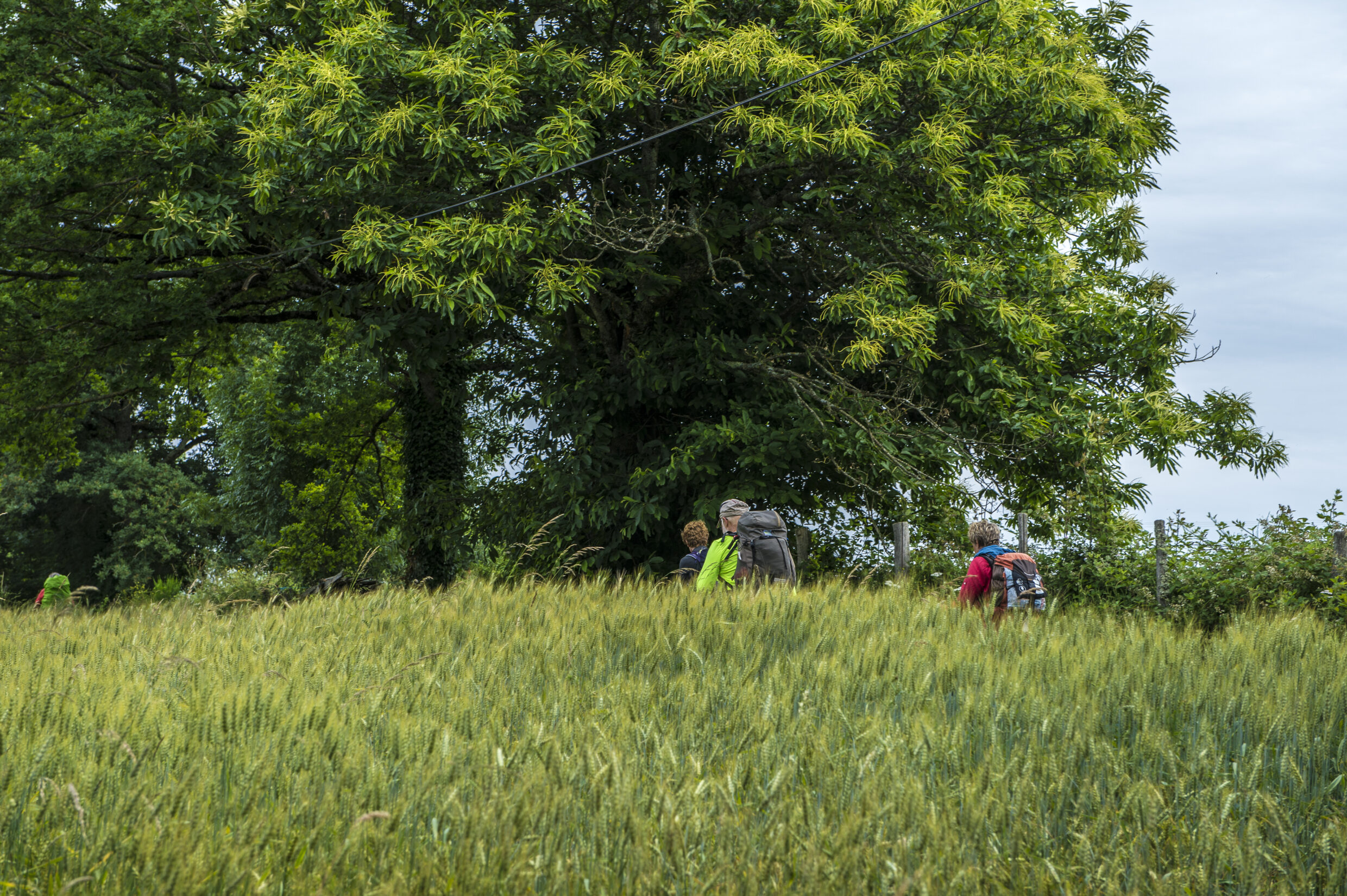 Sentier Montredon-Figeac ©JJGelbart