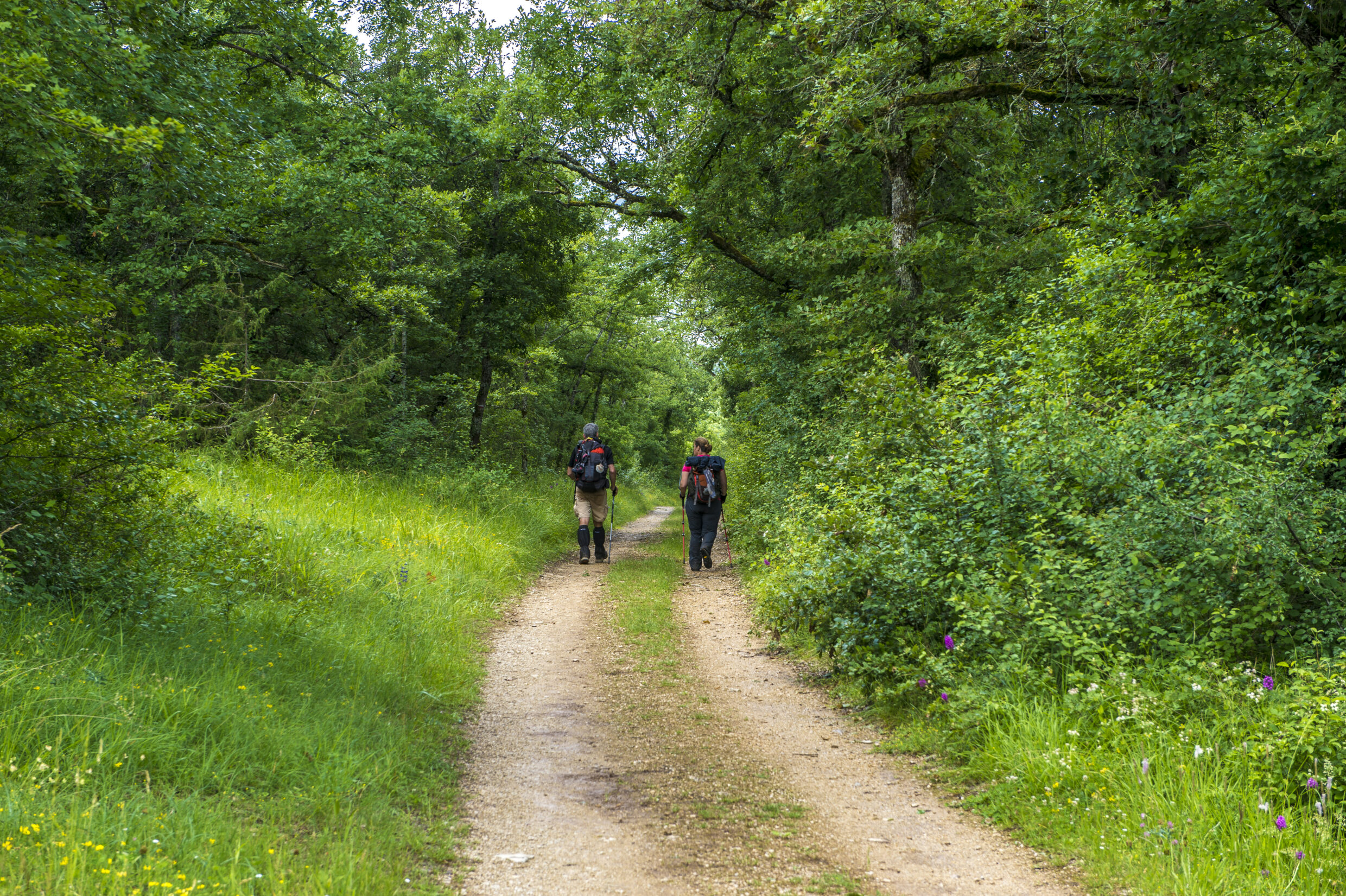 Sentier entre Faycelles et Cajarc ©AFCC JJGelbart