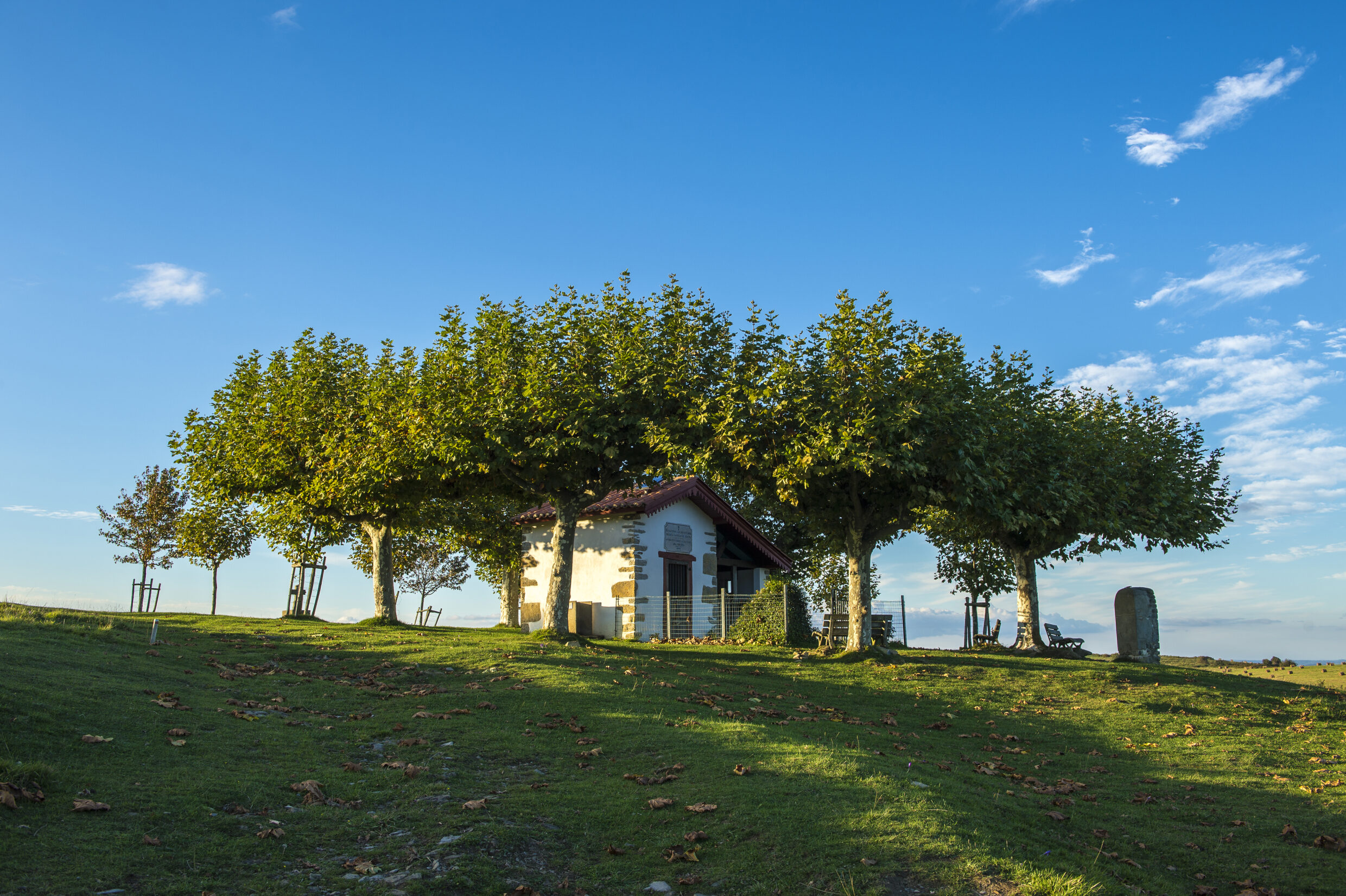 Entre Aroue et Ostabat ©AFCC JJGelbart