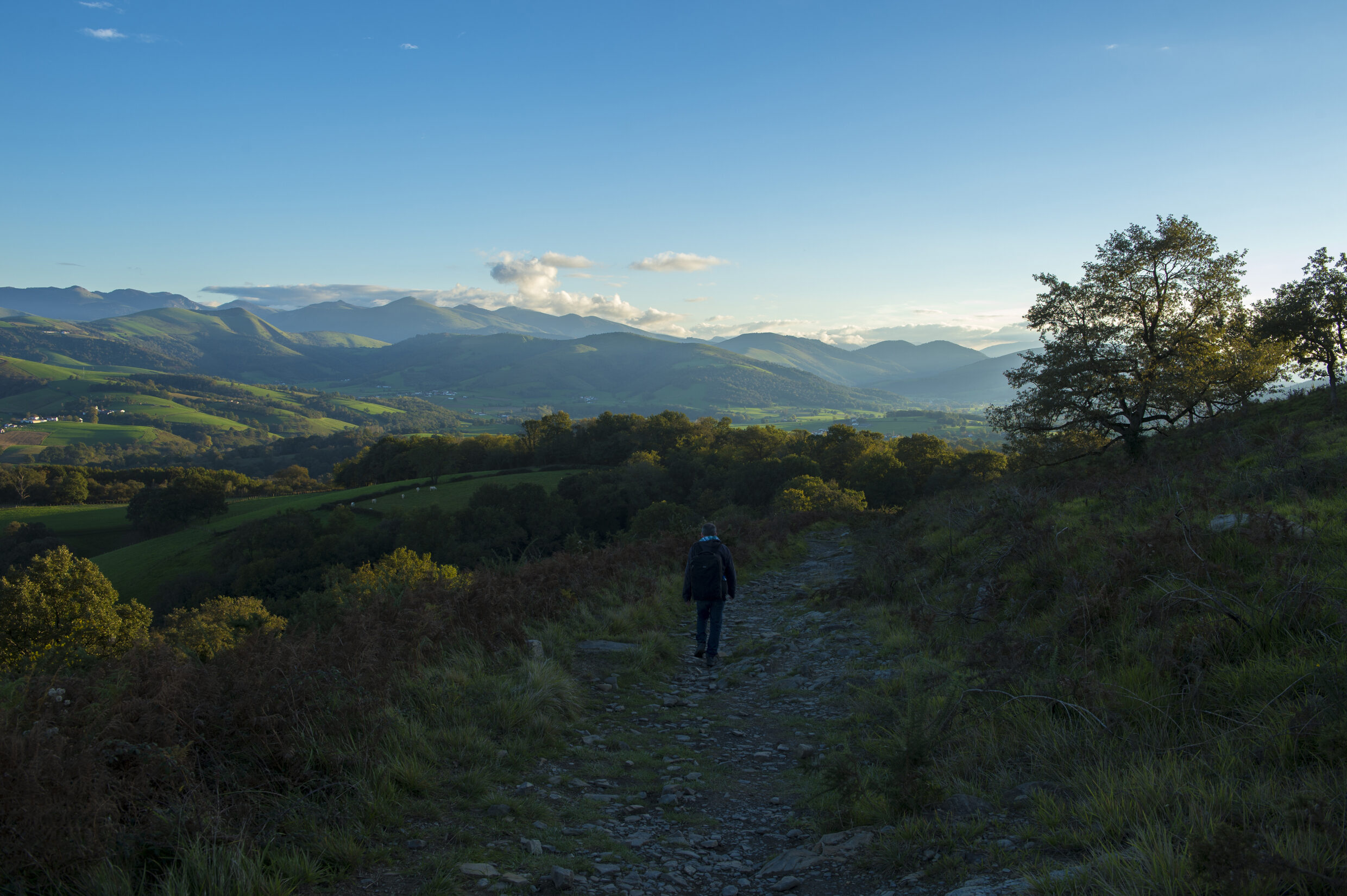 Sentier Aroue - Ostabat d'Asme ©AFCC JJGelbart
