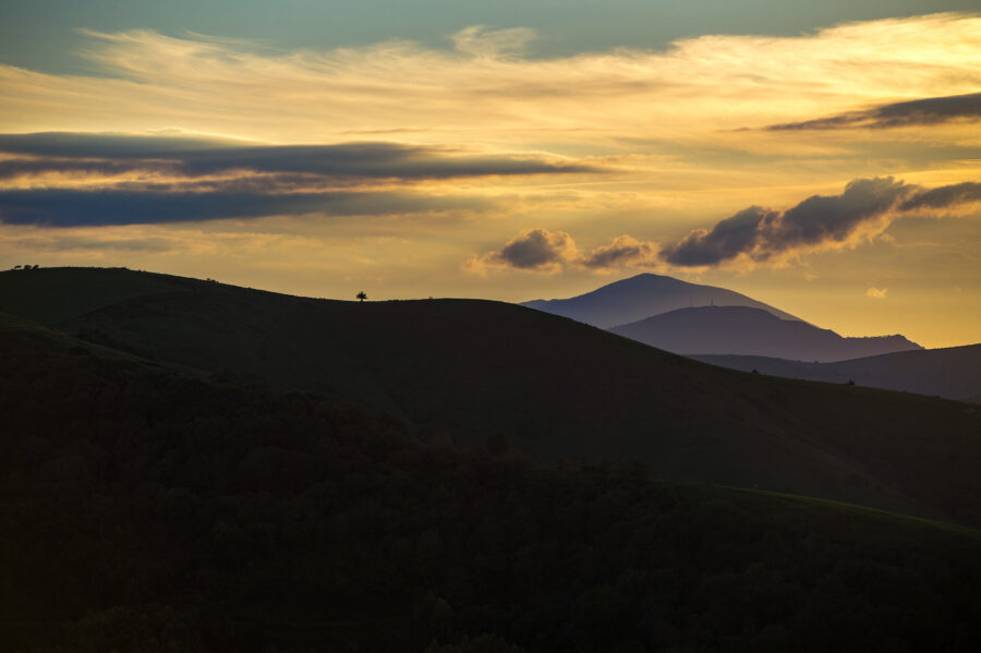 Sentier Aroue - Ostabat d'Asme ©AFCC JJGelbart