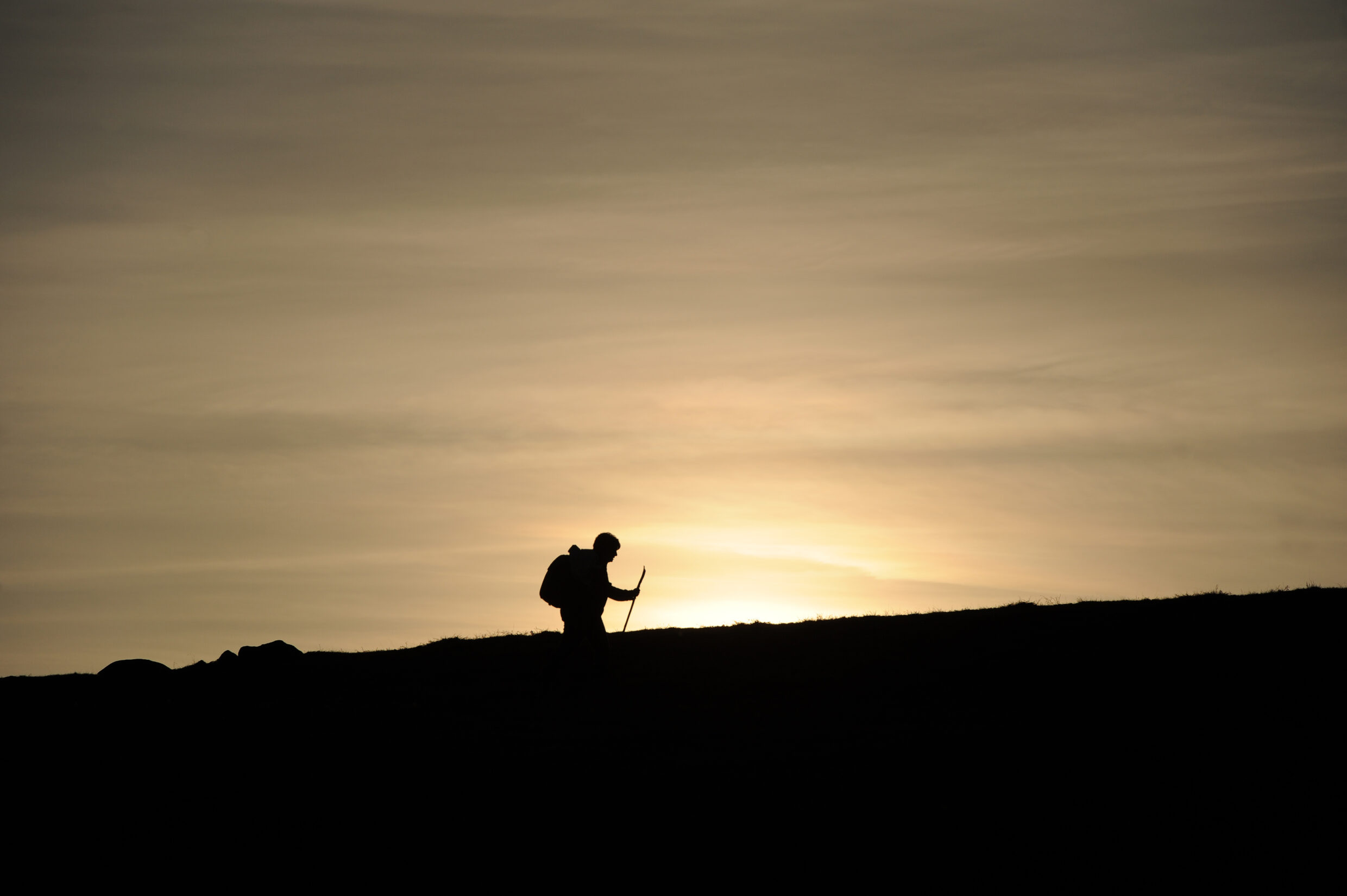 Entre Nasbinals et Saint-Chély d'Aubrac©AFCC JJGelbartEntre Nasbinals et Saint-Chély d'Aubrac©AFCC JJGelbart