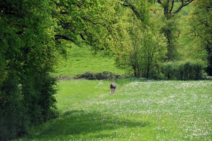 Sentier Montredon-Figeac ©JJGelbart