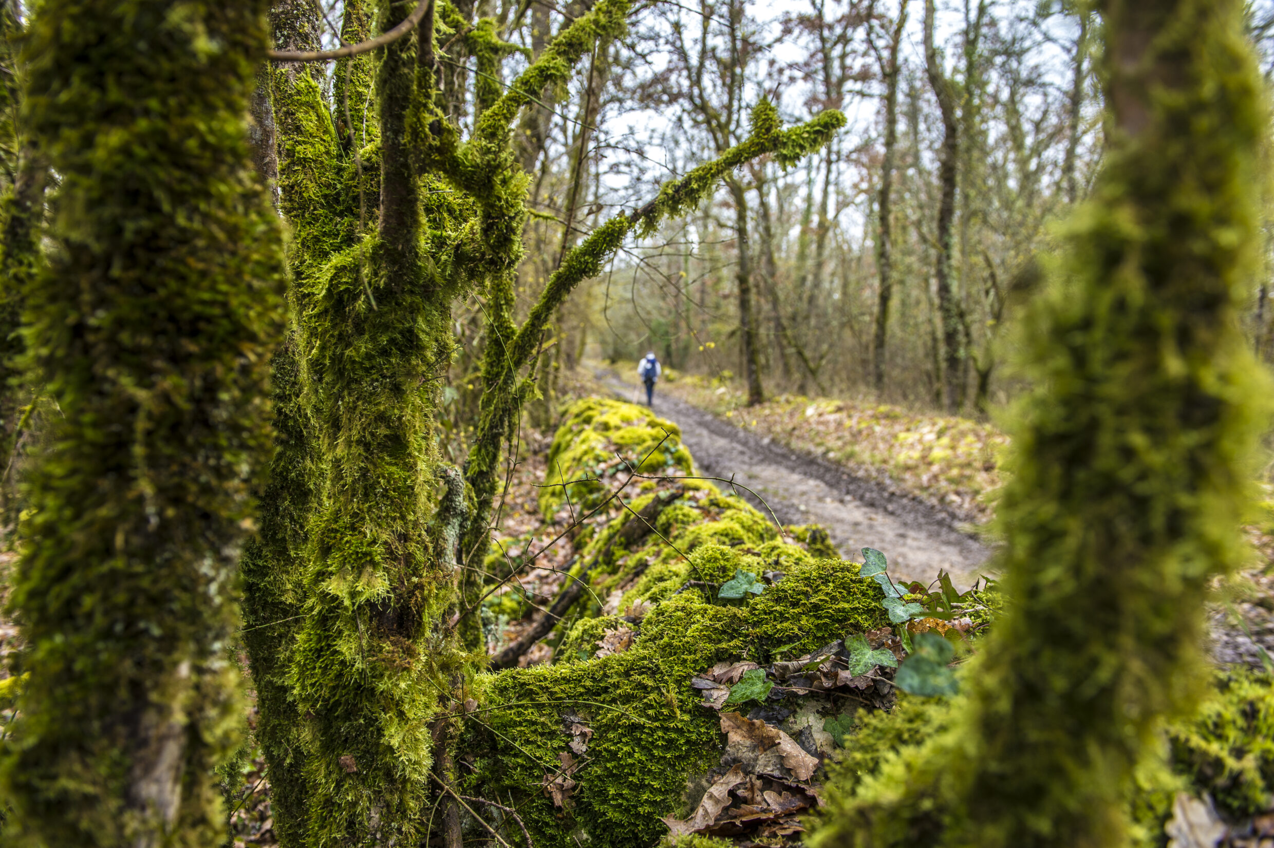 Sentier Bach-Cahors ©AFCC JJGelbart