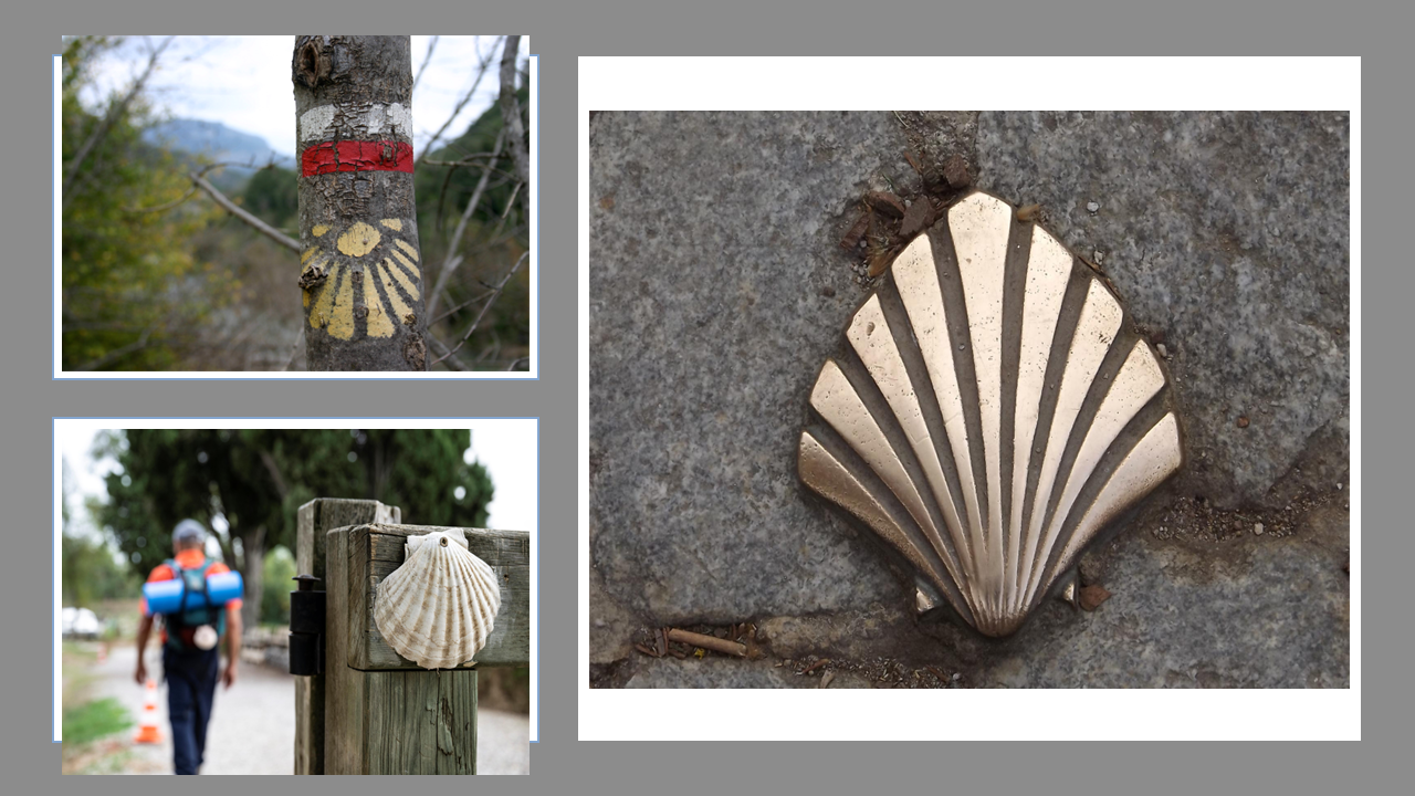 Différentes formes de balisages par la coquille