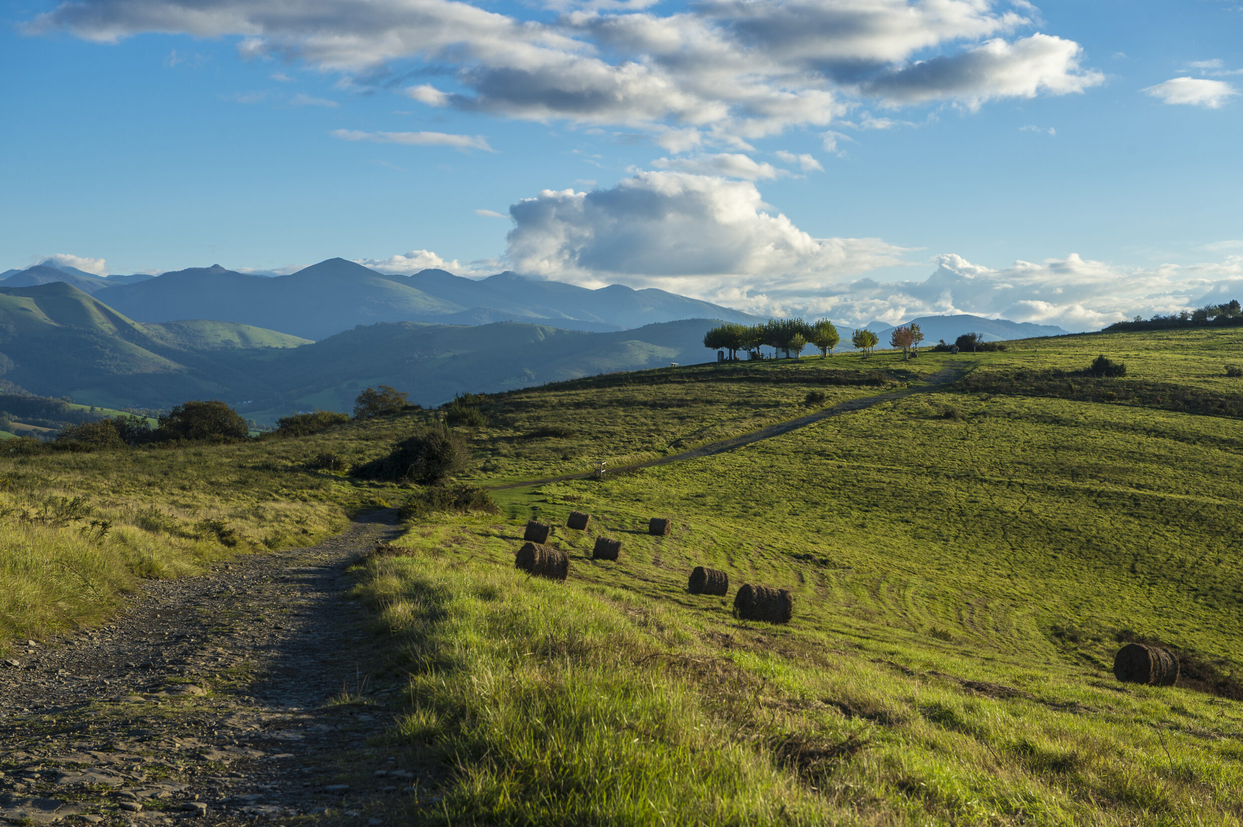 Entre Aroue et Ostabat ©AFCC JJGelbart