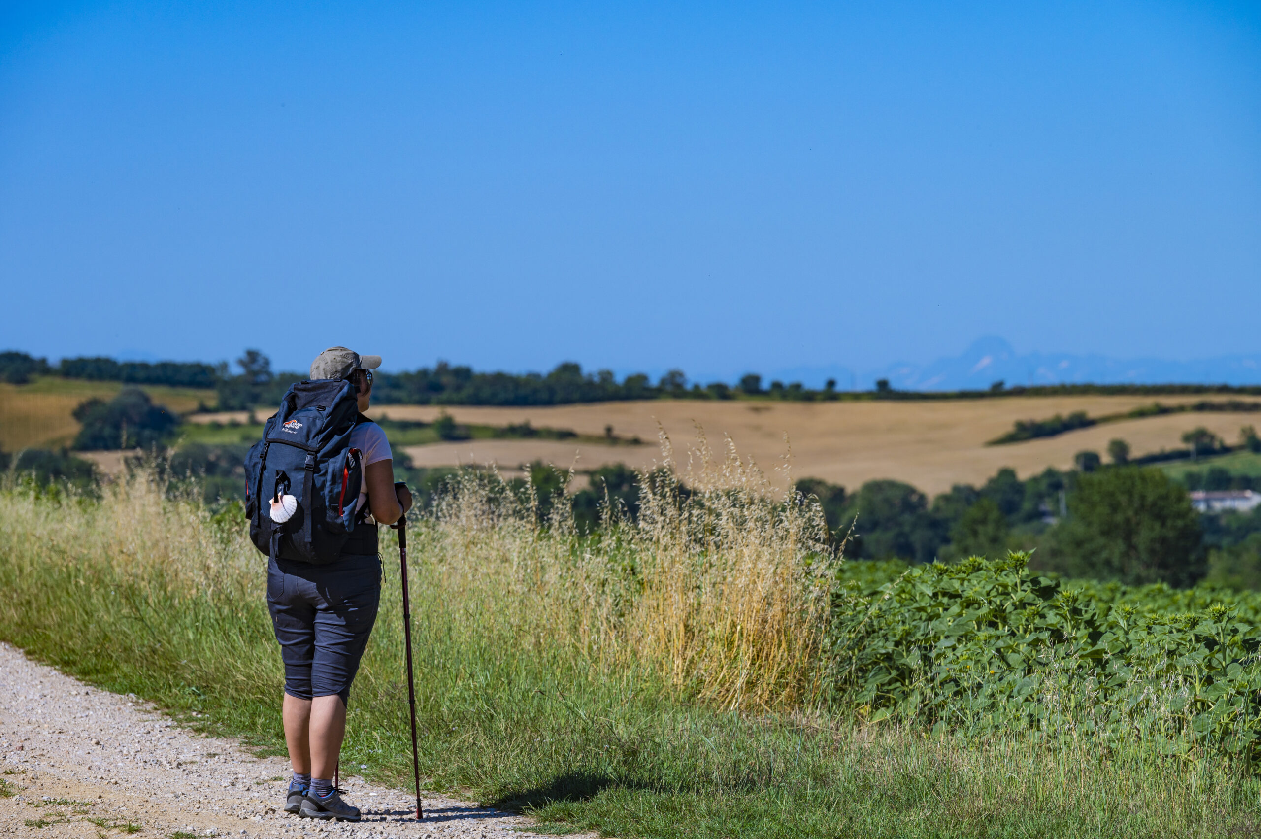 Marcheuse dans le Lauragais - Voie d'Arles ©AFCC JJGelbart