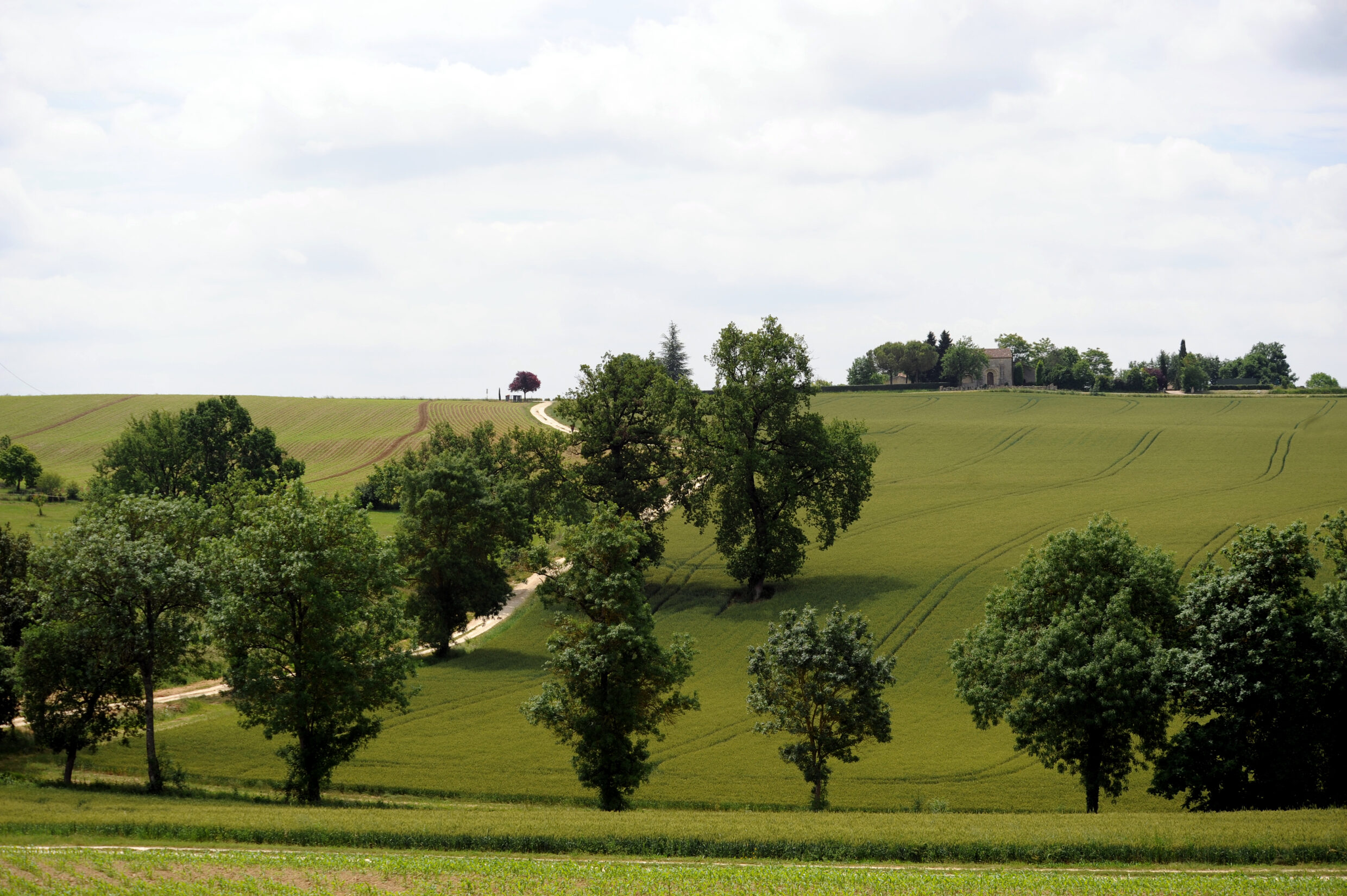 Sentier Lectoure - Condom - Commanderie d'Abrin ©AFCC JJGelbart