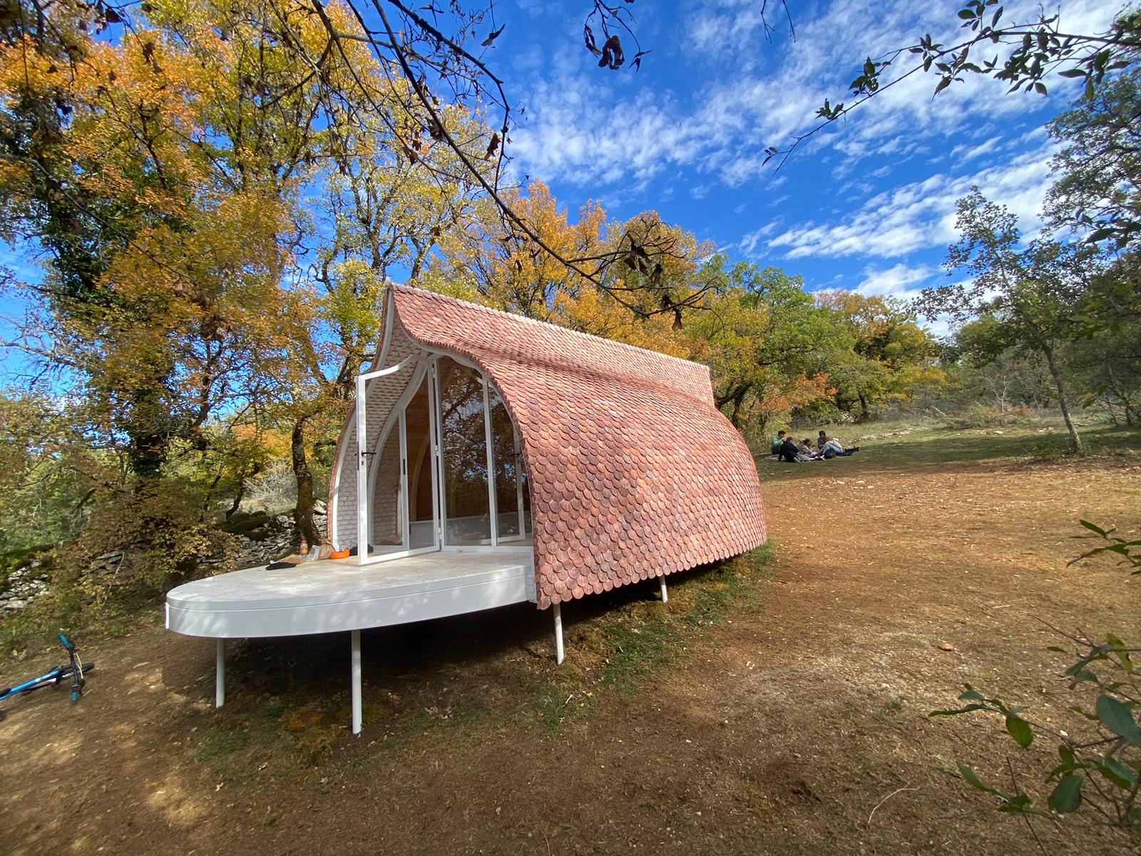 Pecten maximus ©Patricia Monniaux