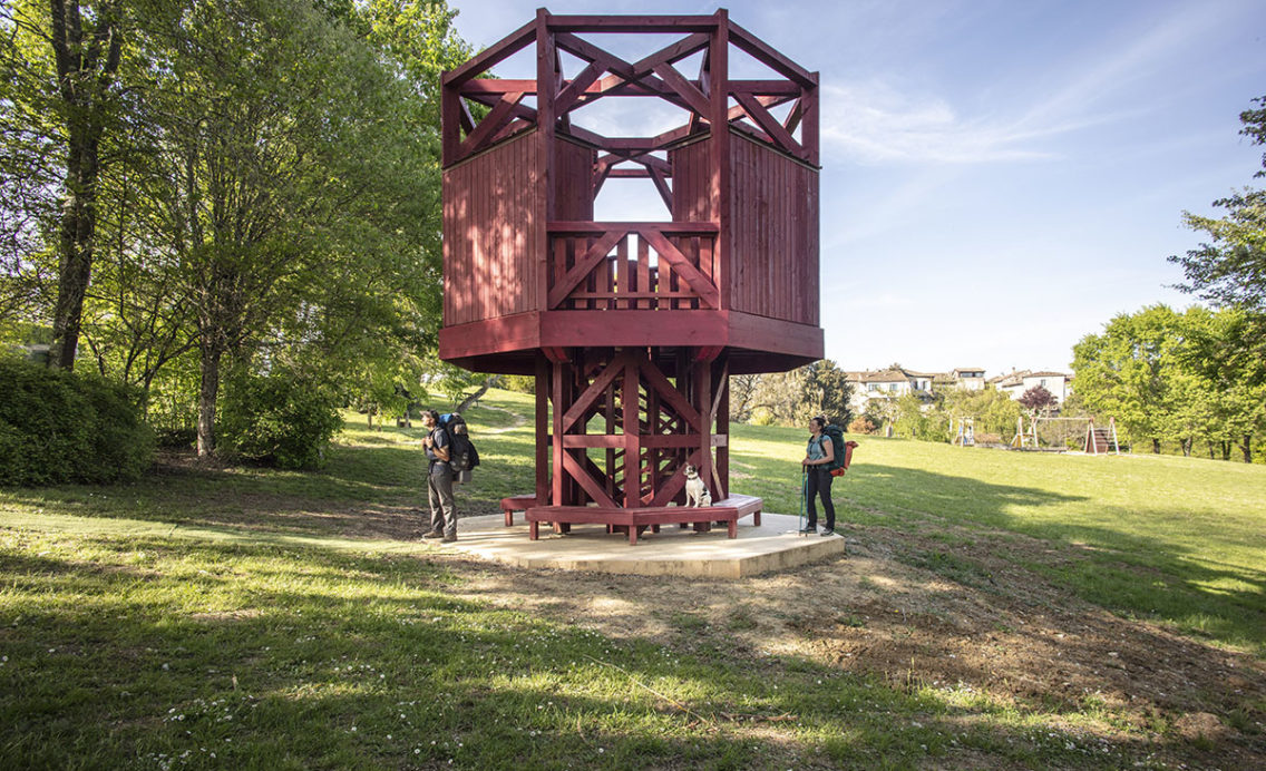 Arbre collégial, La Romieu ©Fenêtre sur le paysage