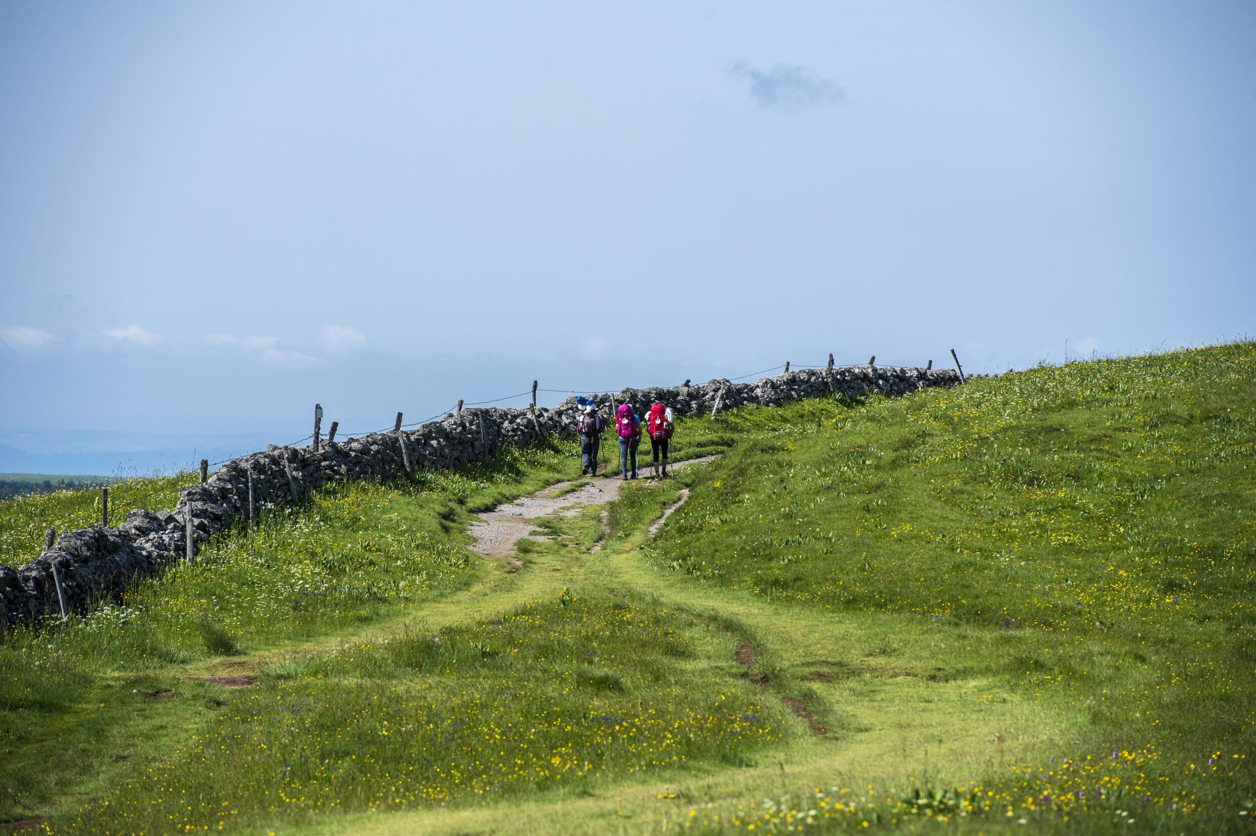 Trois marcheuses en Aubrac©AFCC JJGelbart