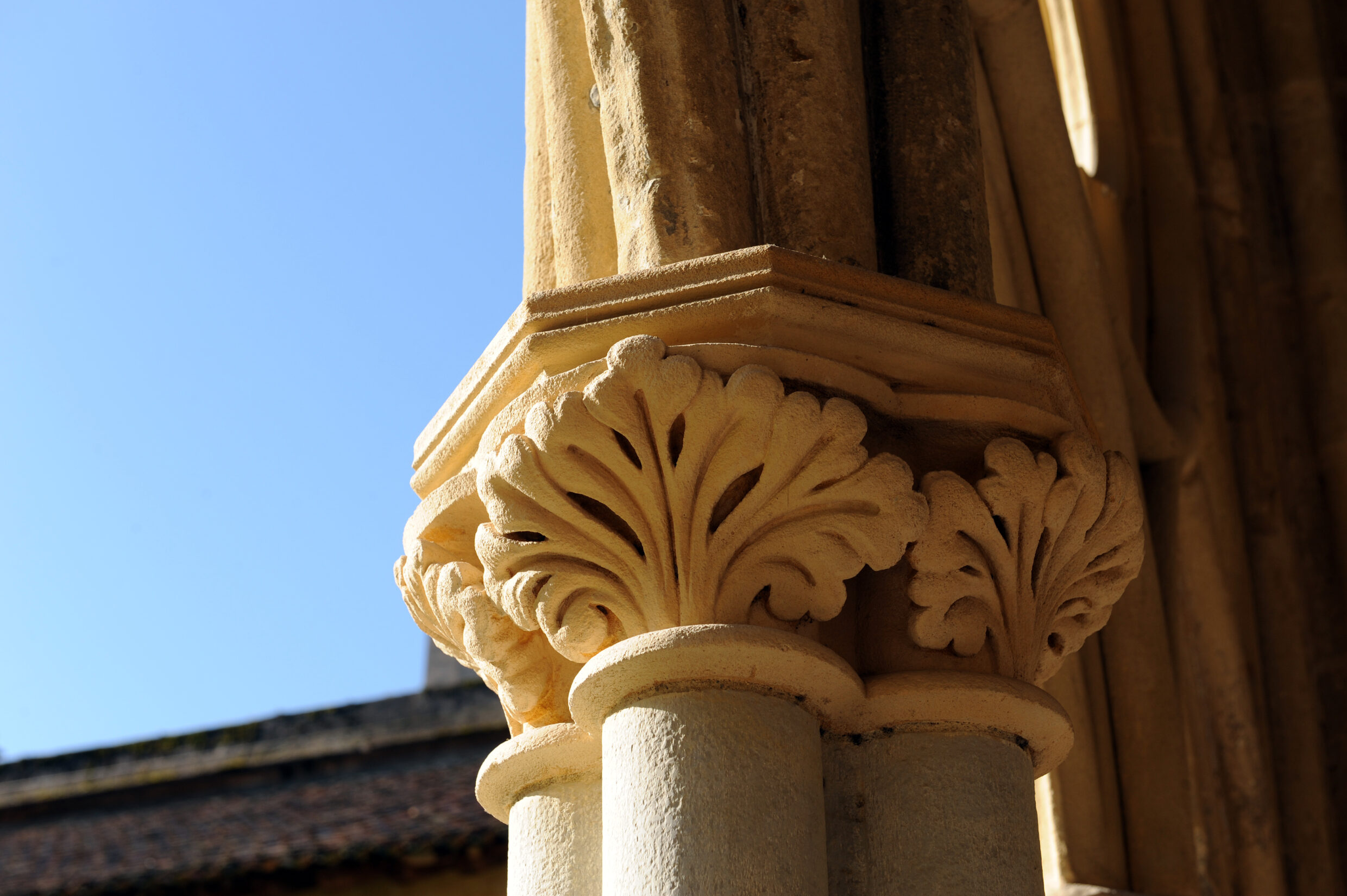 Cathédrale de Bayonne ©JJGelbart
