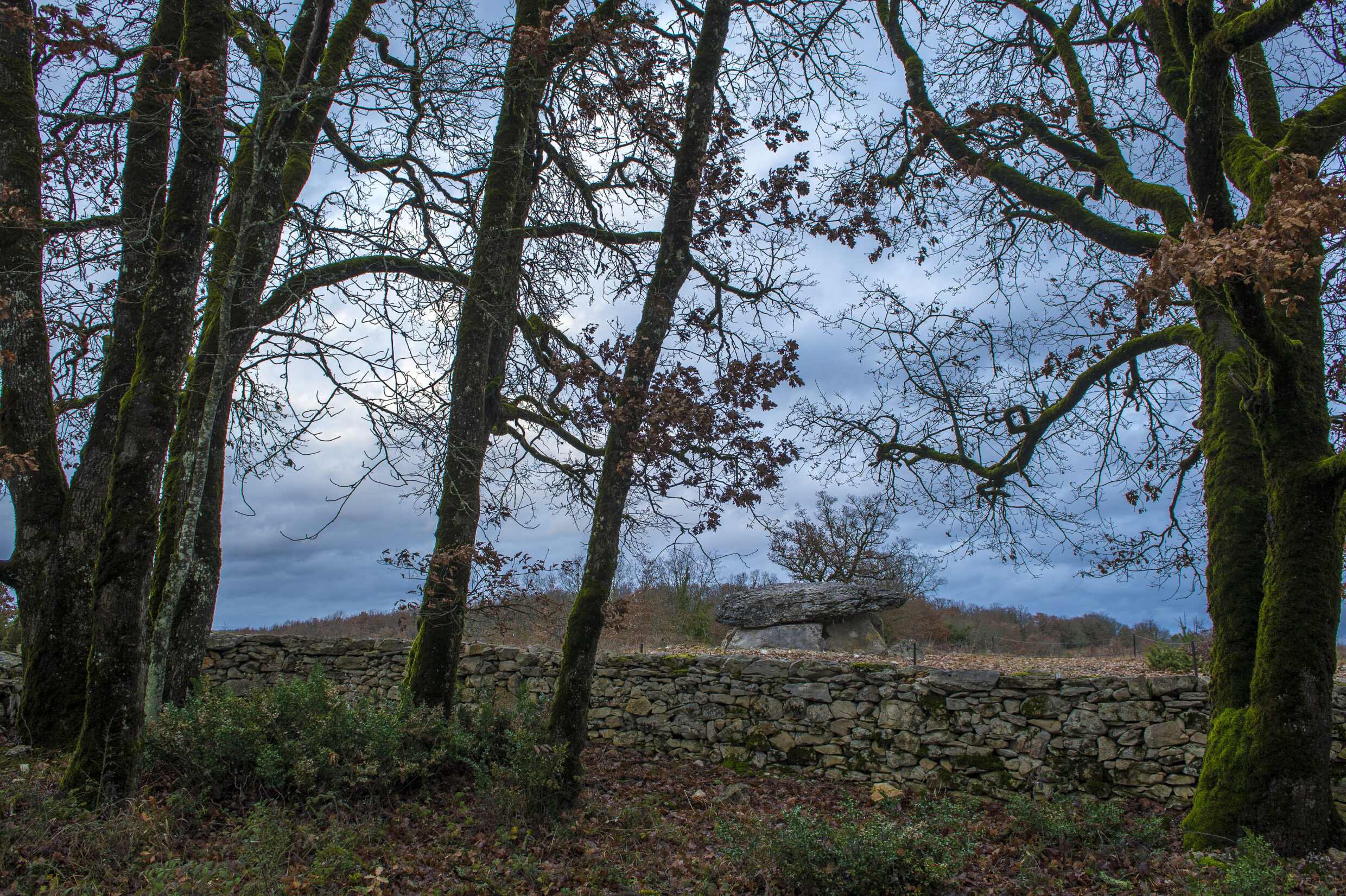 Dolmen de Pech Laglaire II ©AFCC JJGelbart