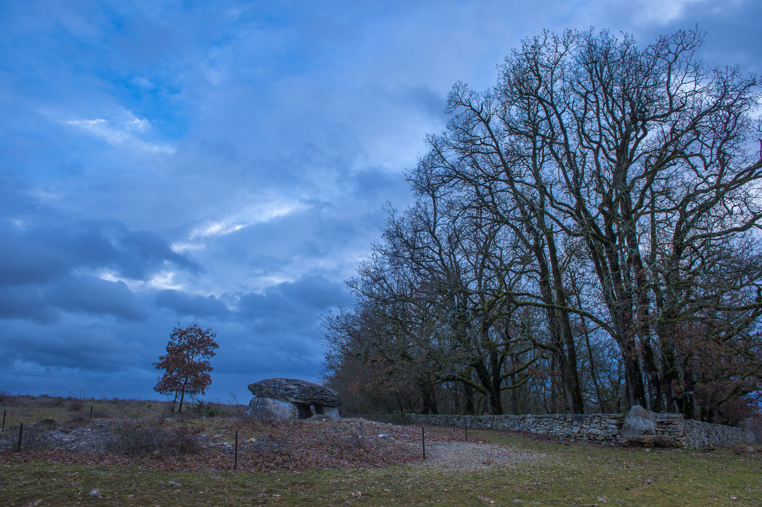 Dolmen de Pech Laglaire II ©AFCC JJGelbart