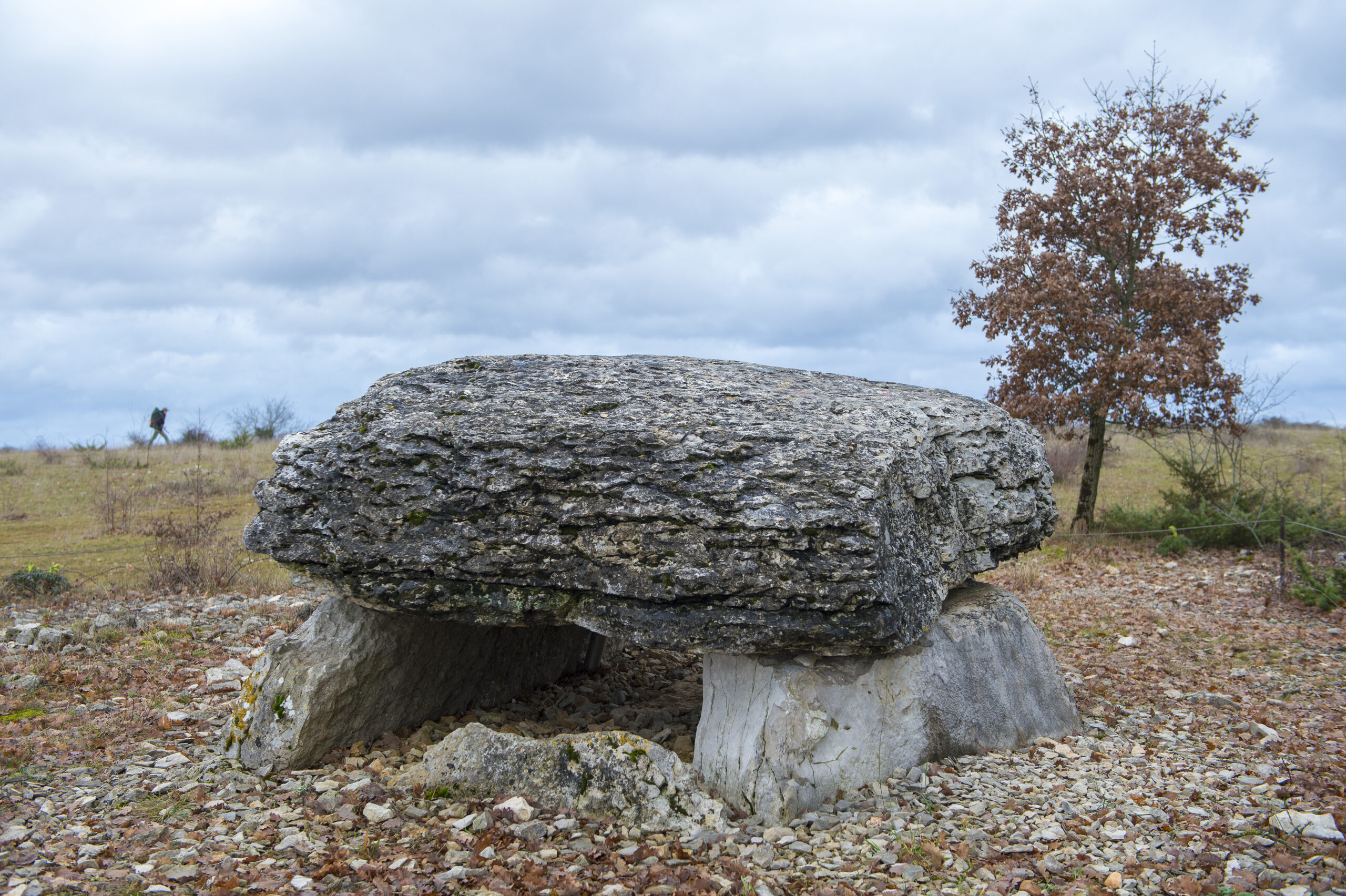 Dolmen de Pech Laglaire II ©AFCC JJGelbart